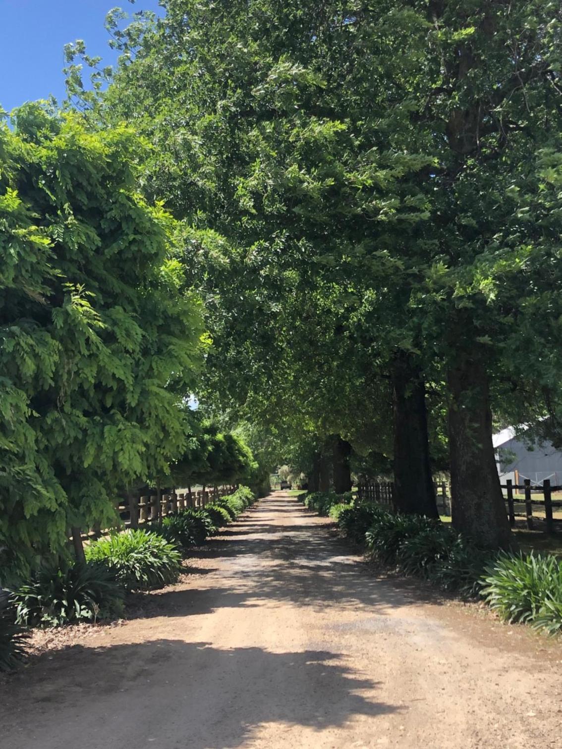 Oak Lane Guest House & Farm Stay