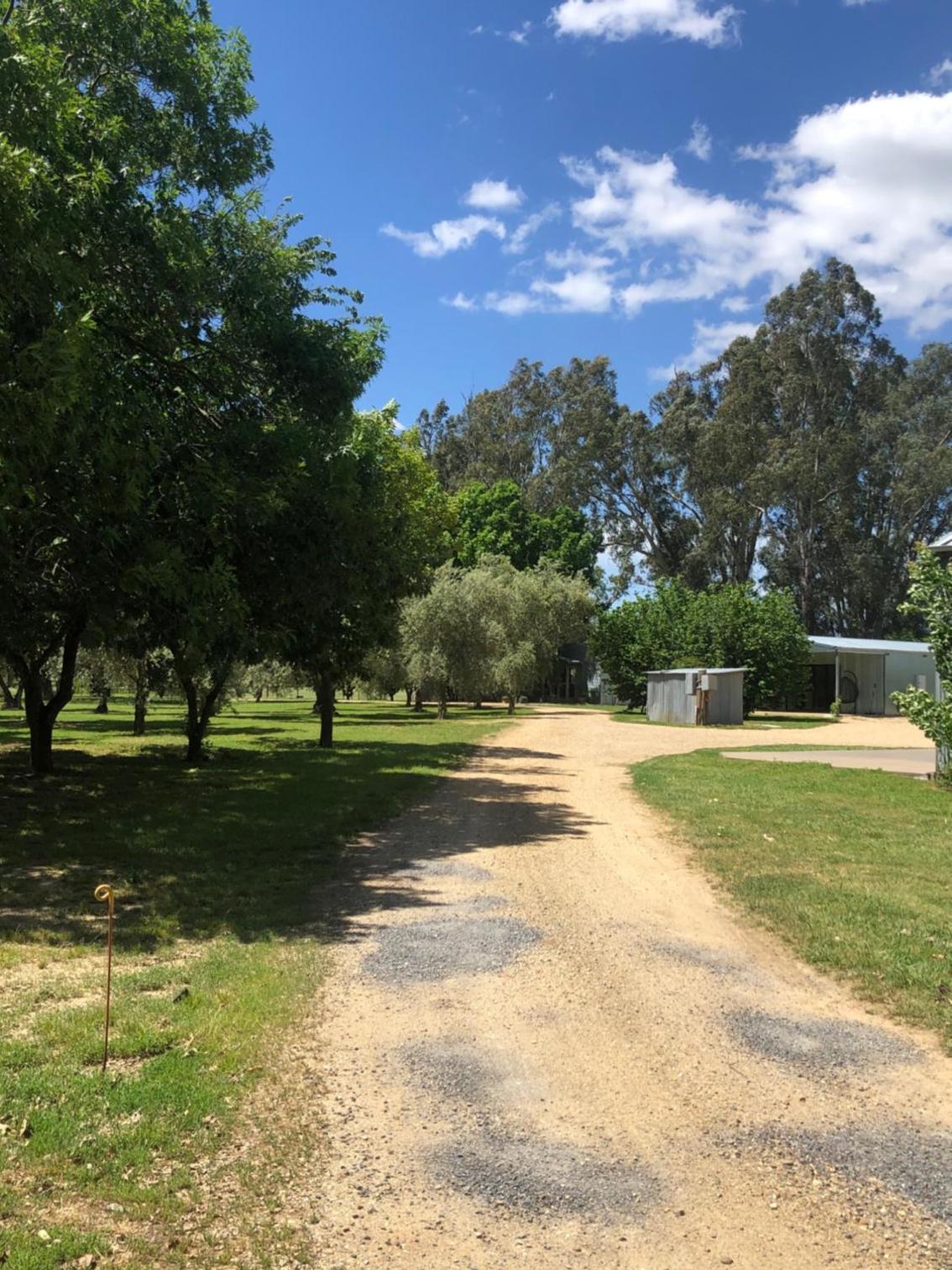 Oak Lane Guest House & Farm Stay