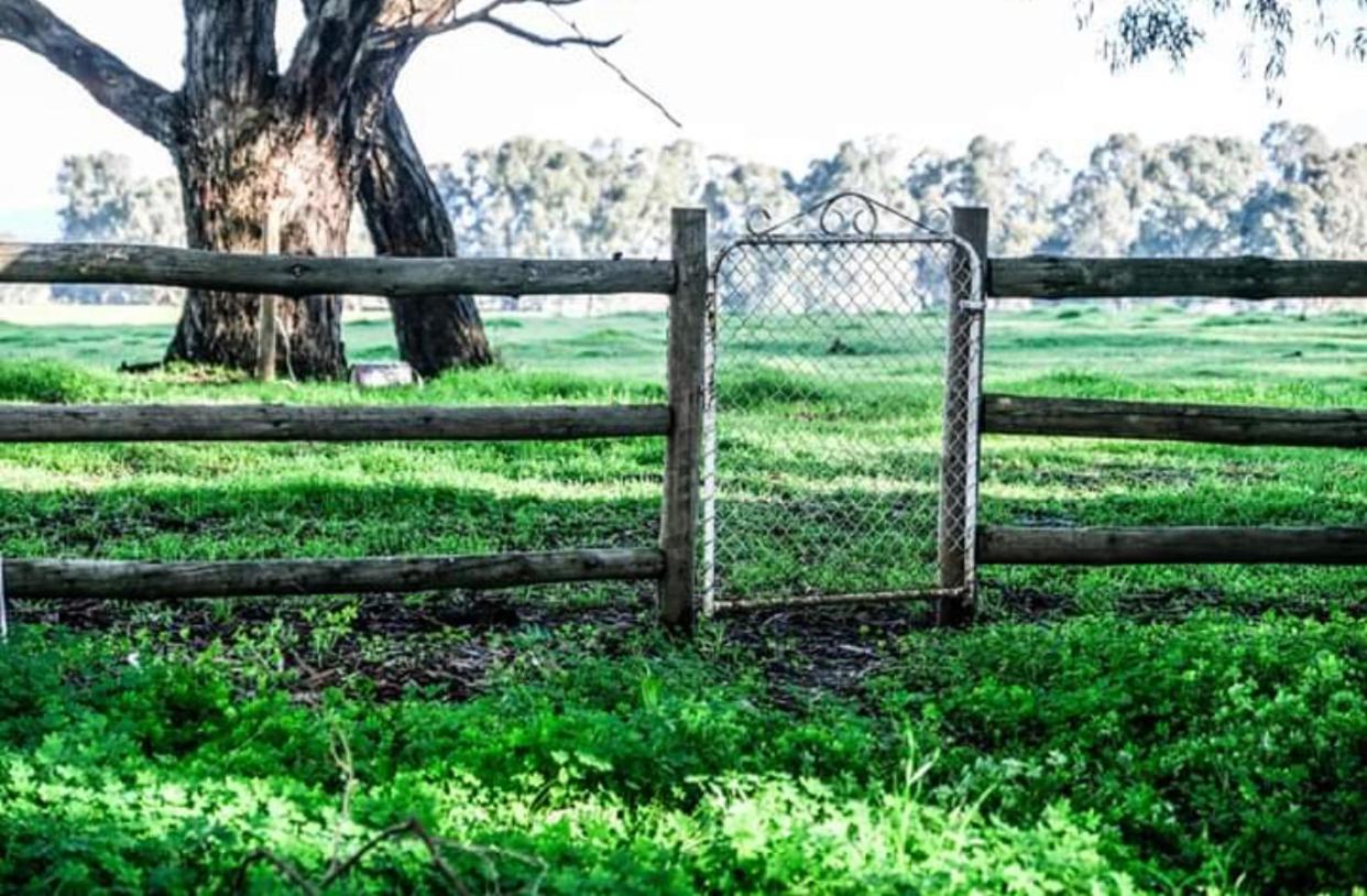 Oak Lane Guest House & Farm Stay
