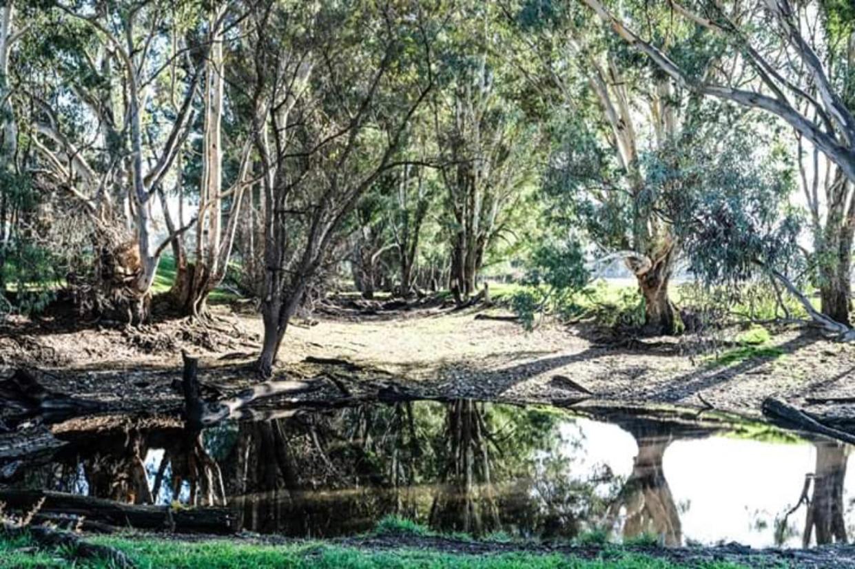 Oak Lane Guest House & Farm Stay