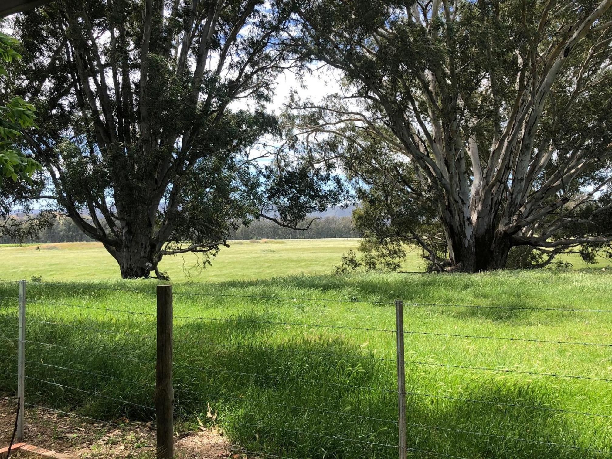 Oak Lane Guest House & Farm Stay