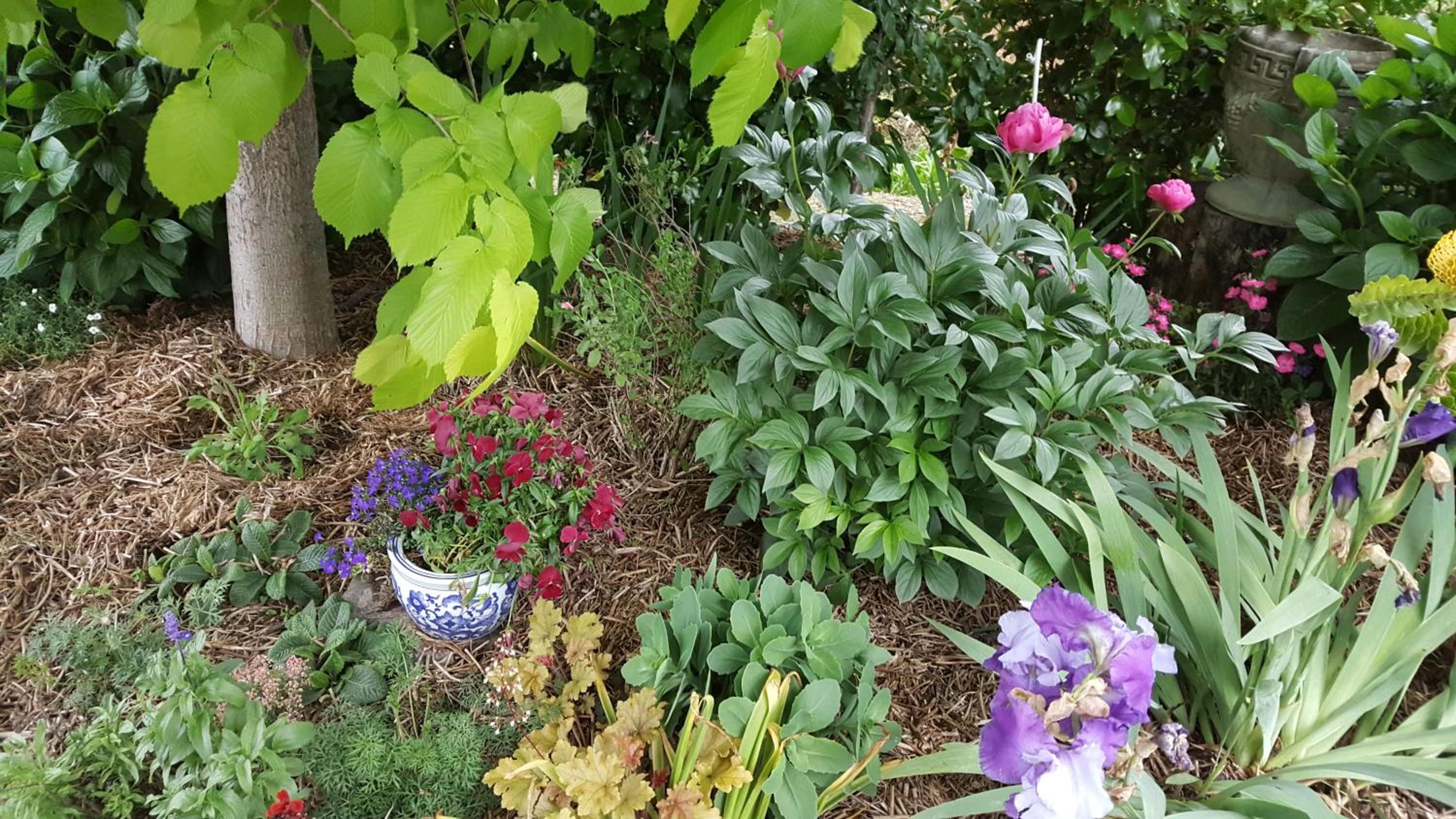 Photo 14