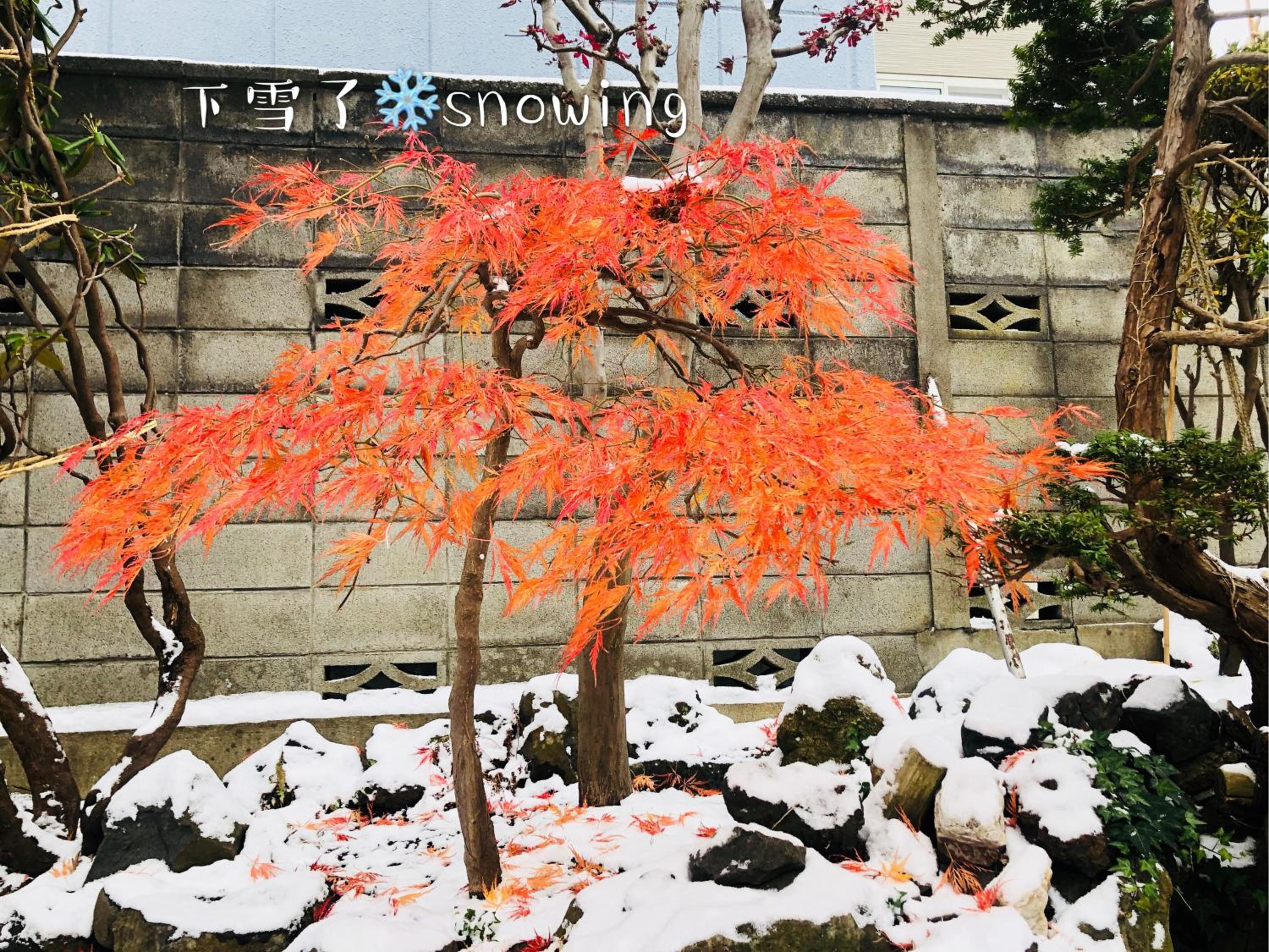 Nishikien inn 錦園
