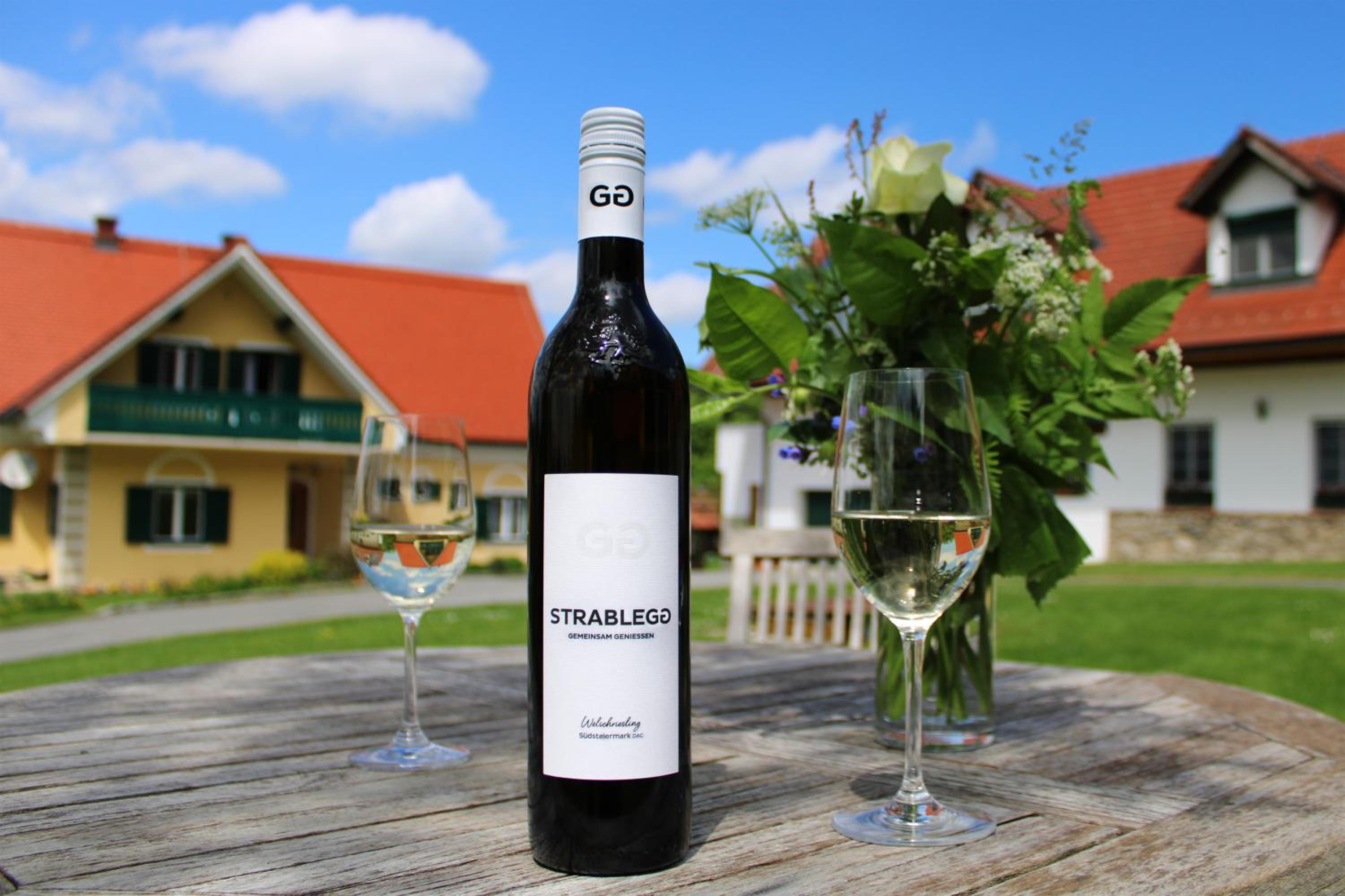 Winzerhof Strablegg view 4