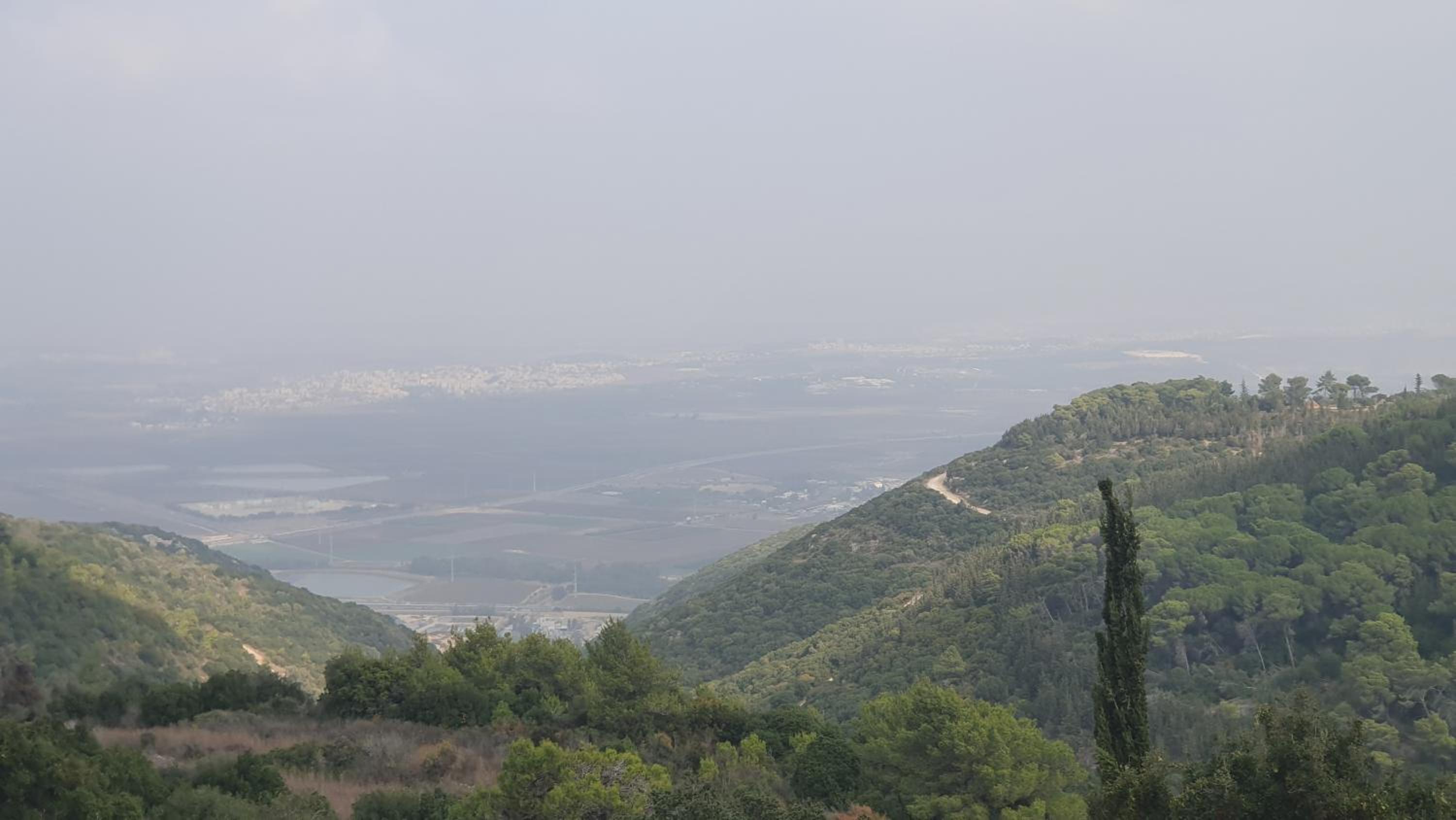 Photo 46