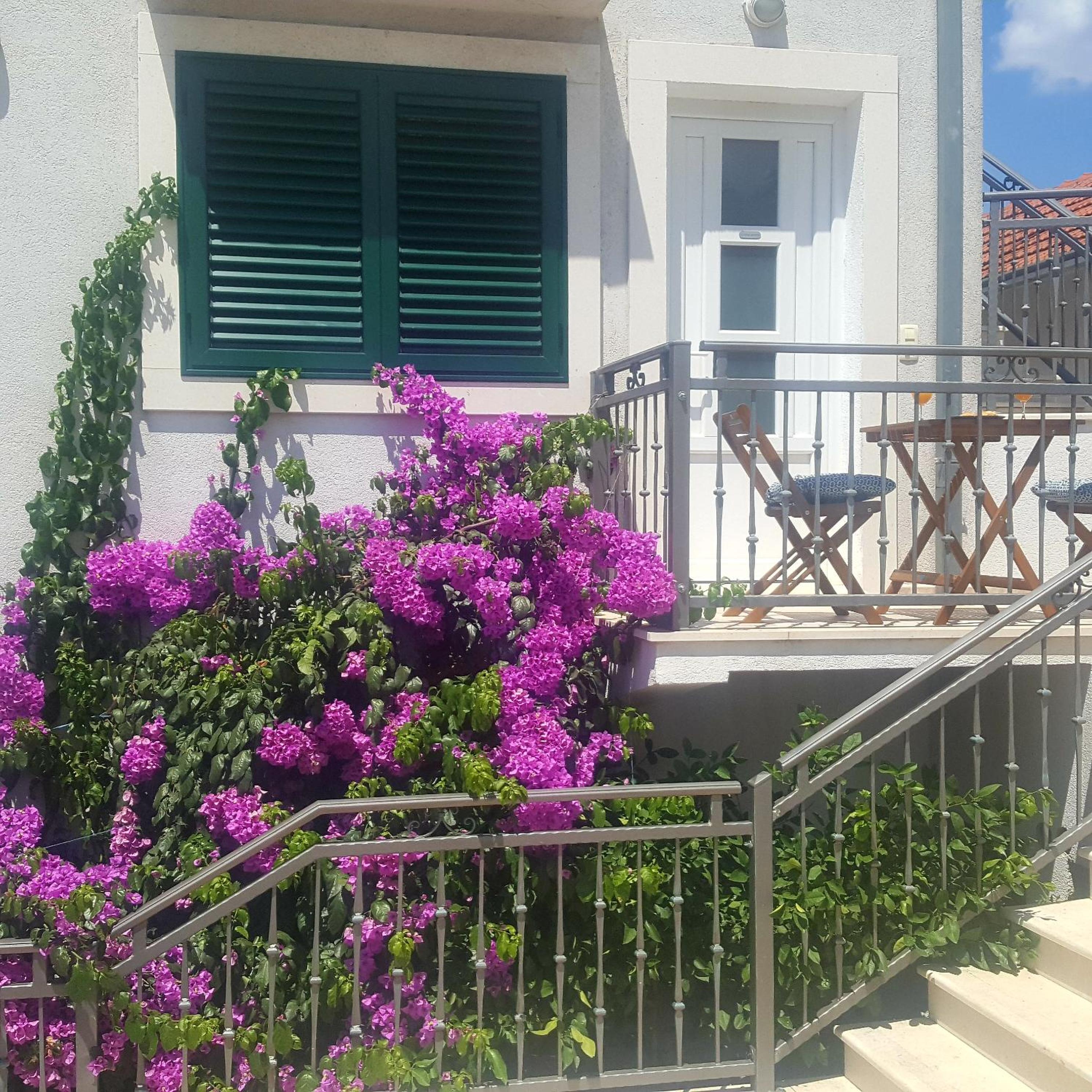 Studio Apartments Marra & Kech view 2