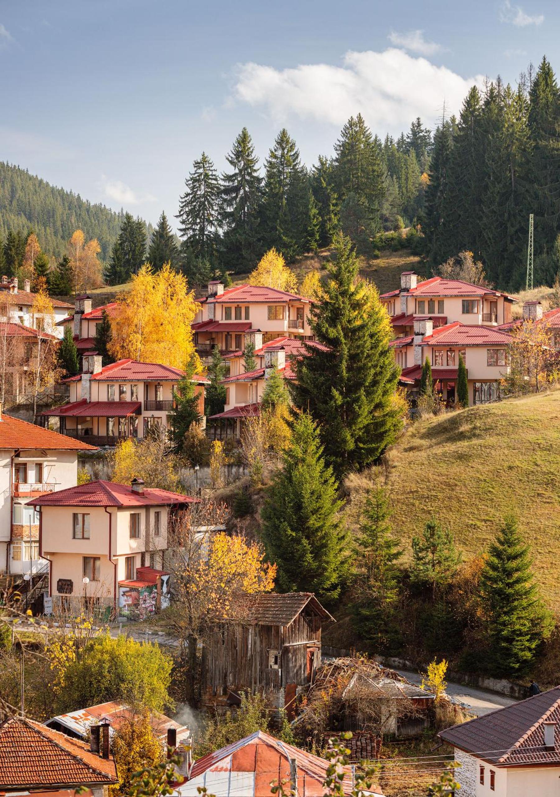 Rodopi Houses