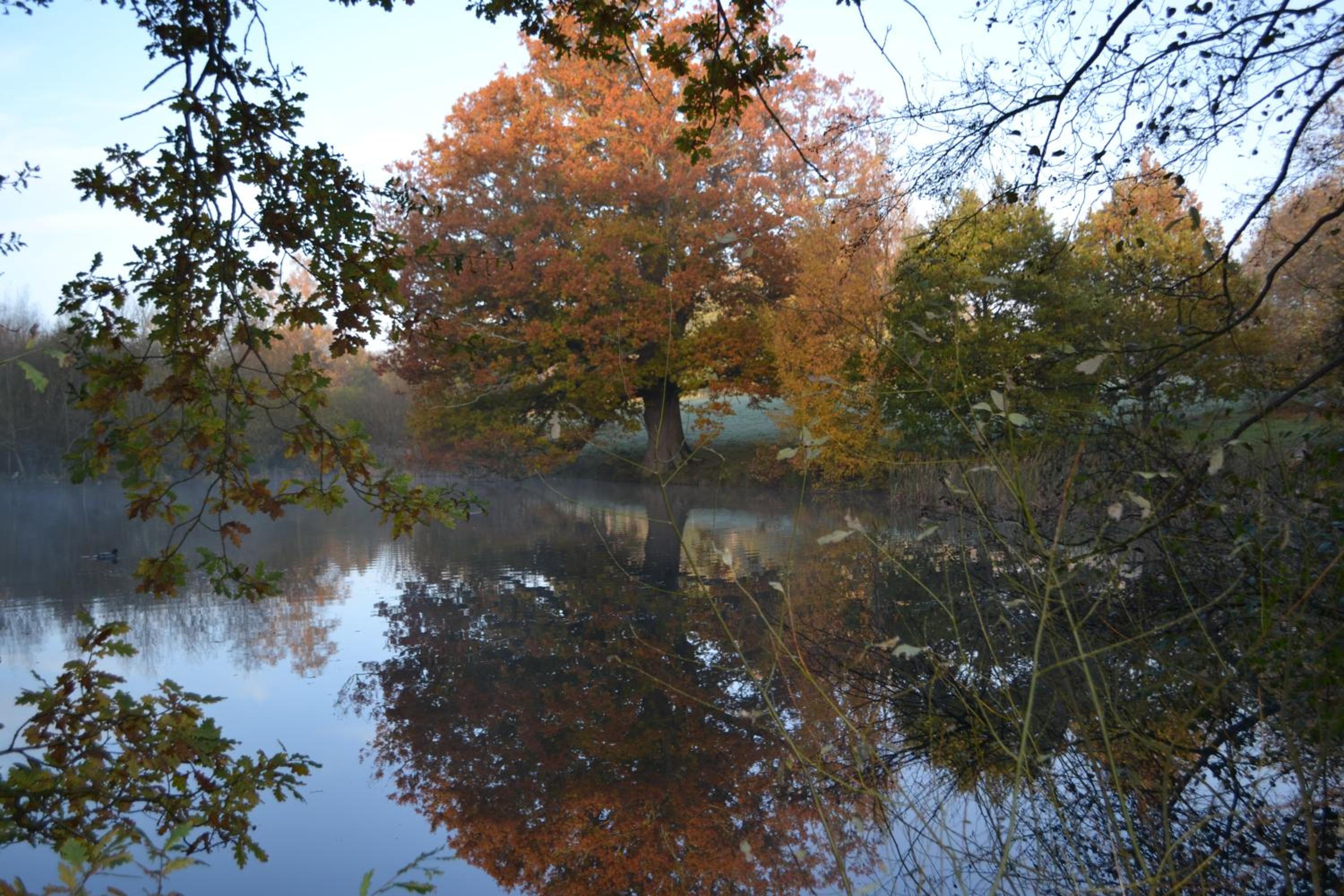 Photo 48