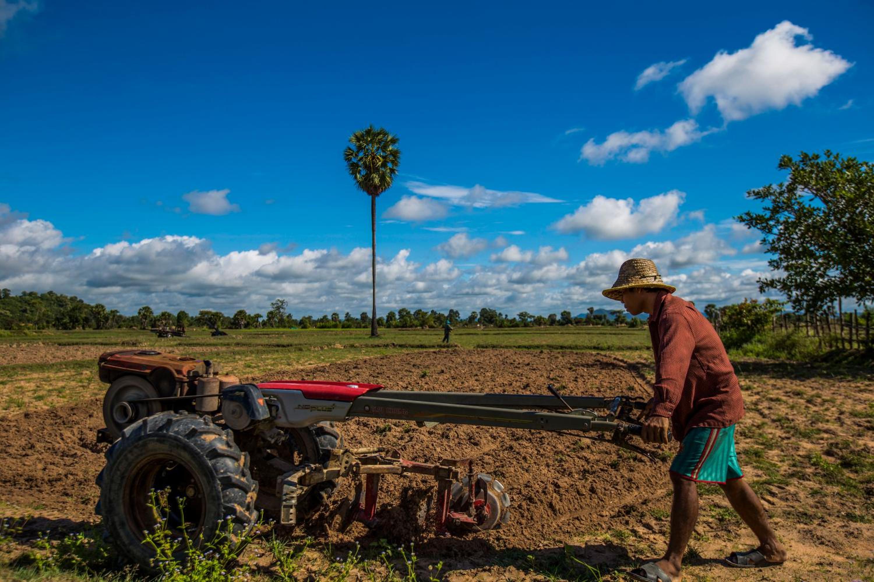 Siem Reap Homesteading