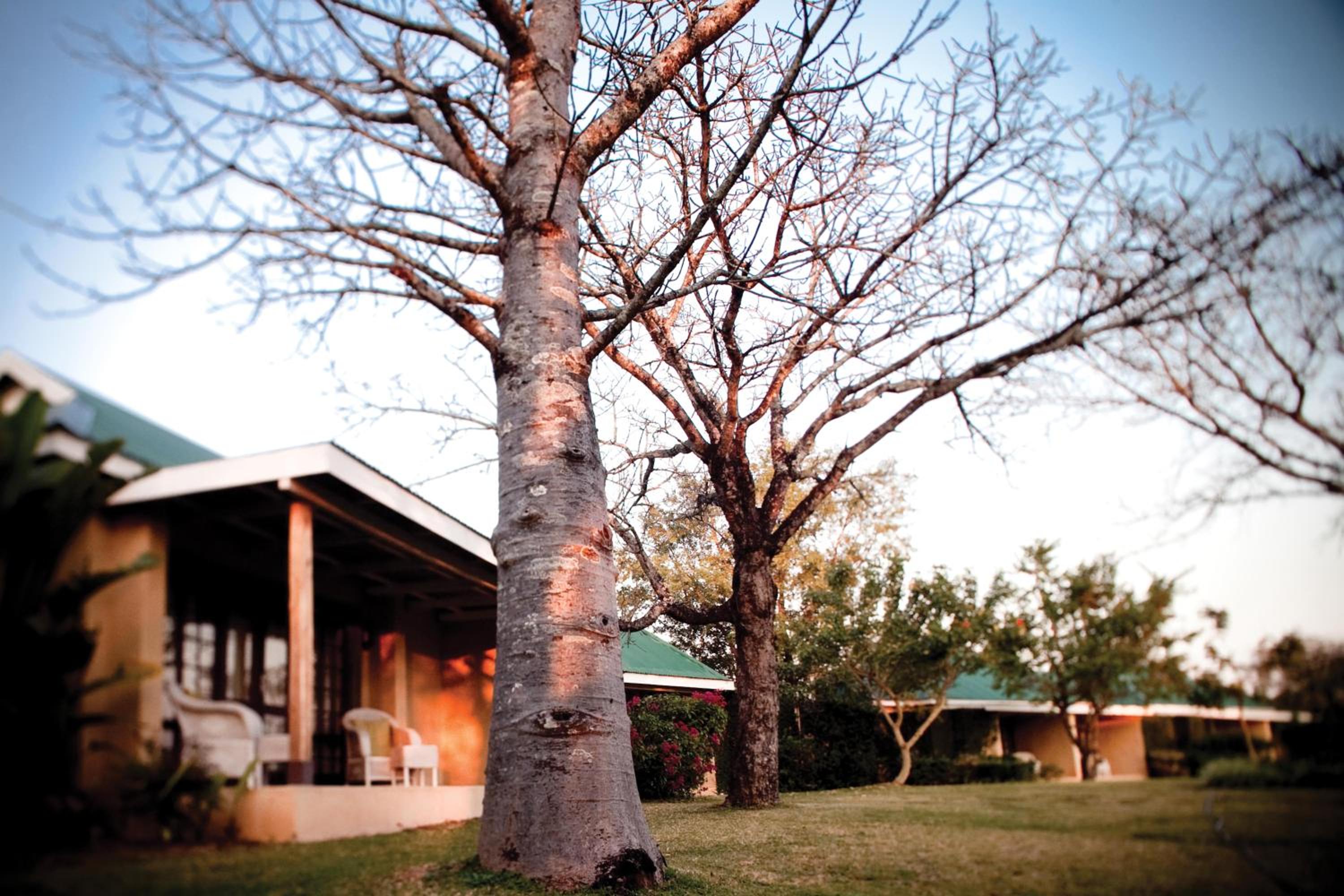 Hazyview Vacations - Perry's Bridge Hollow Boutique Hotel - Property Image 9