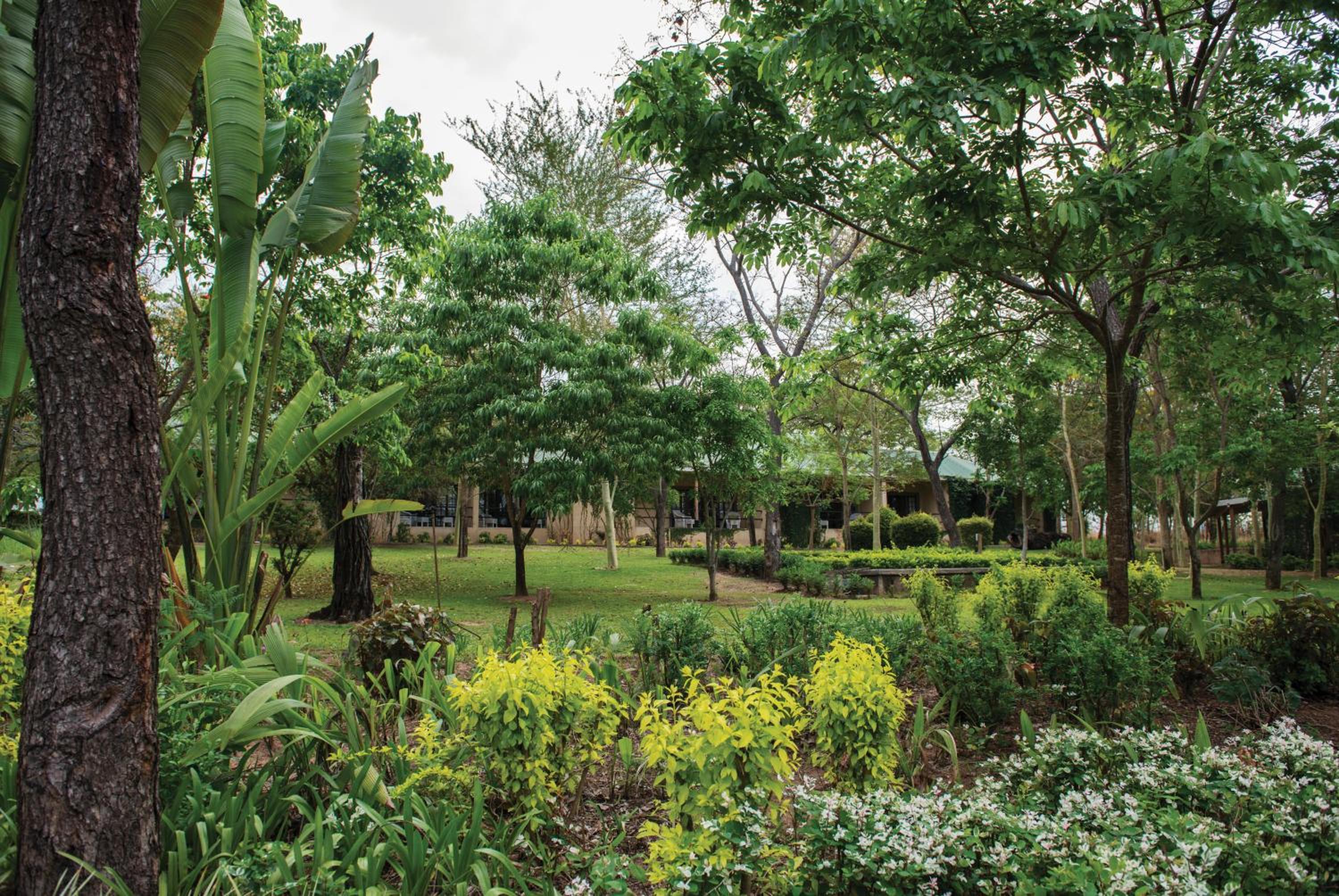 Hazyview Vacations - Perry's Bridge Hollow Boutique Hotel - Property Image 61