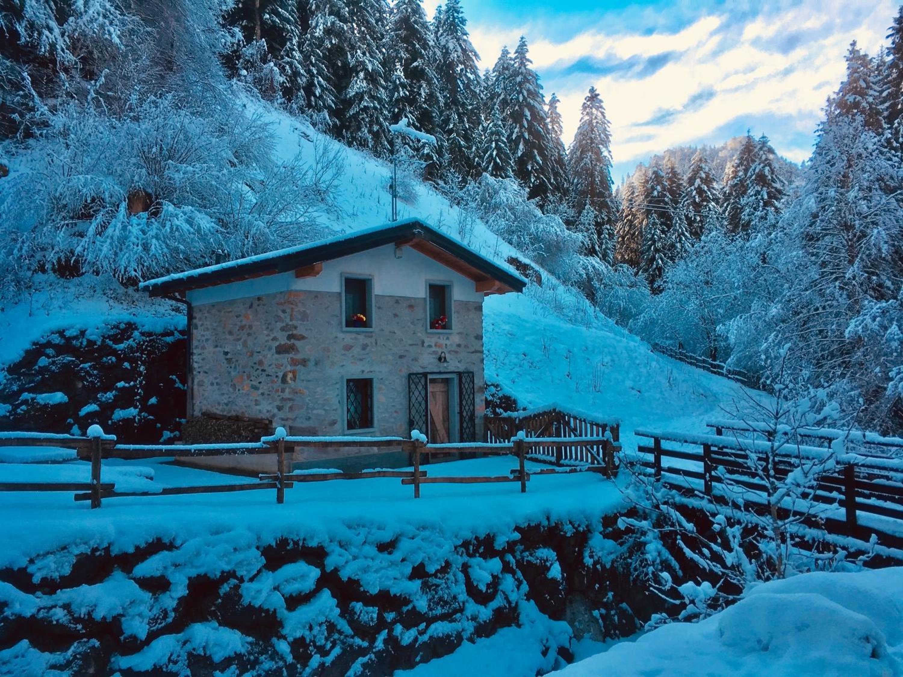 Photo 100