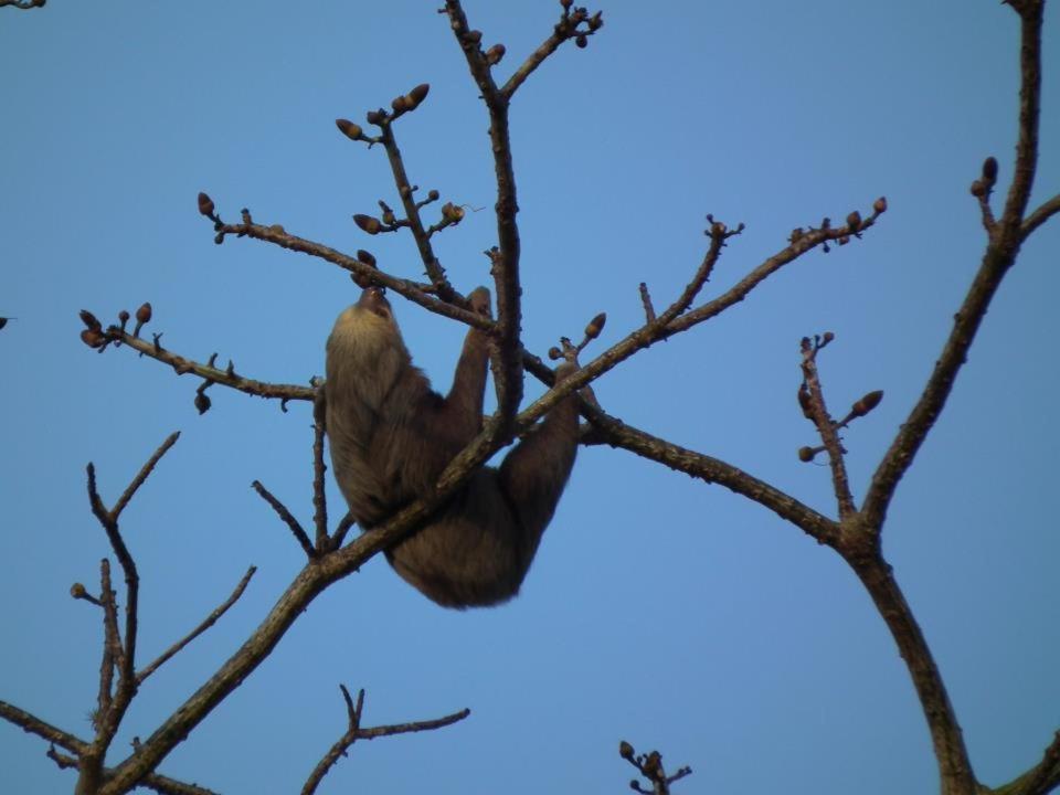 Photo 42