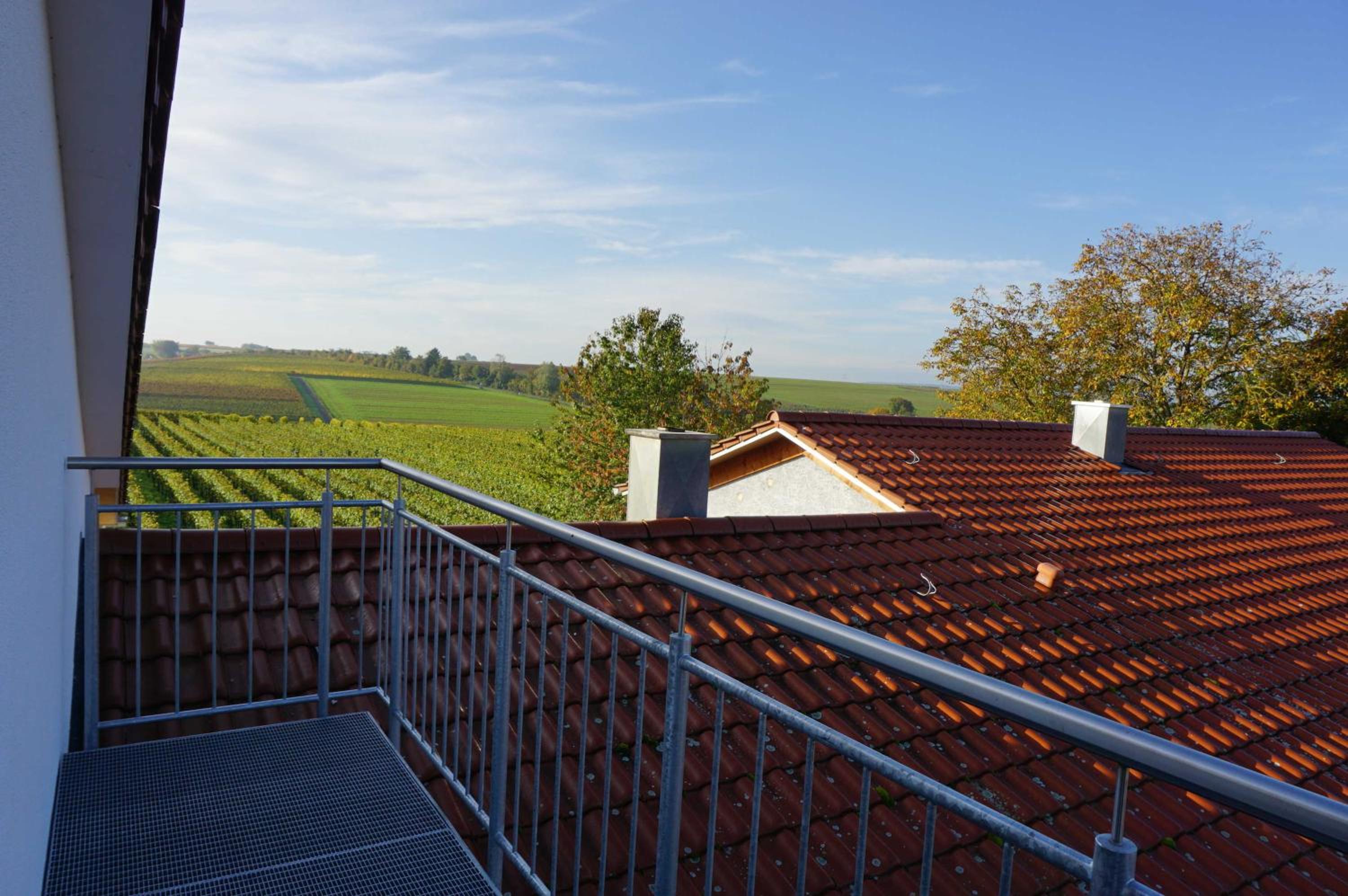 Weingut Schaaf view 4