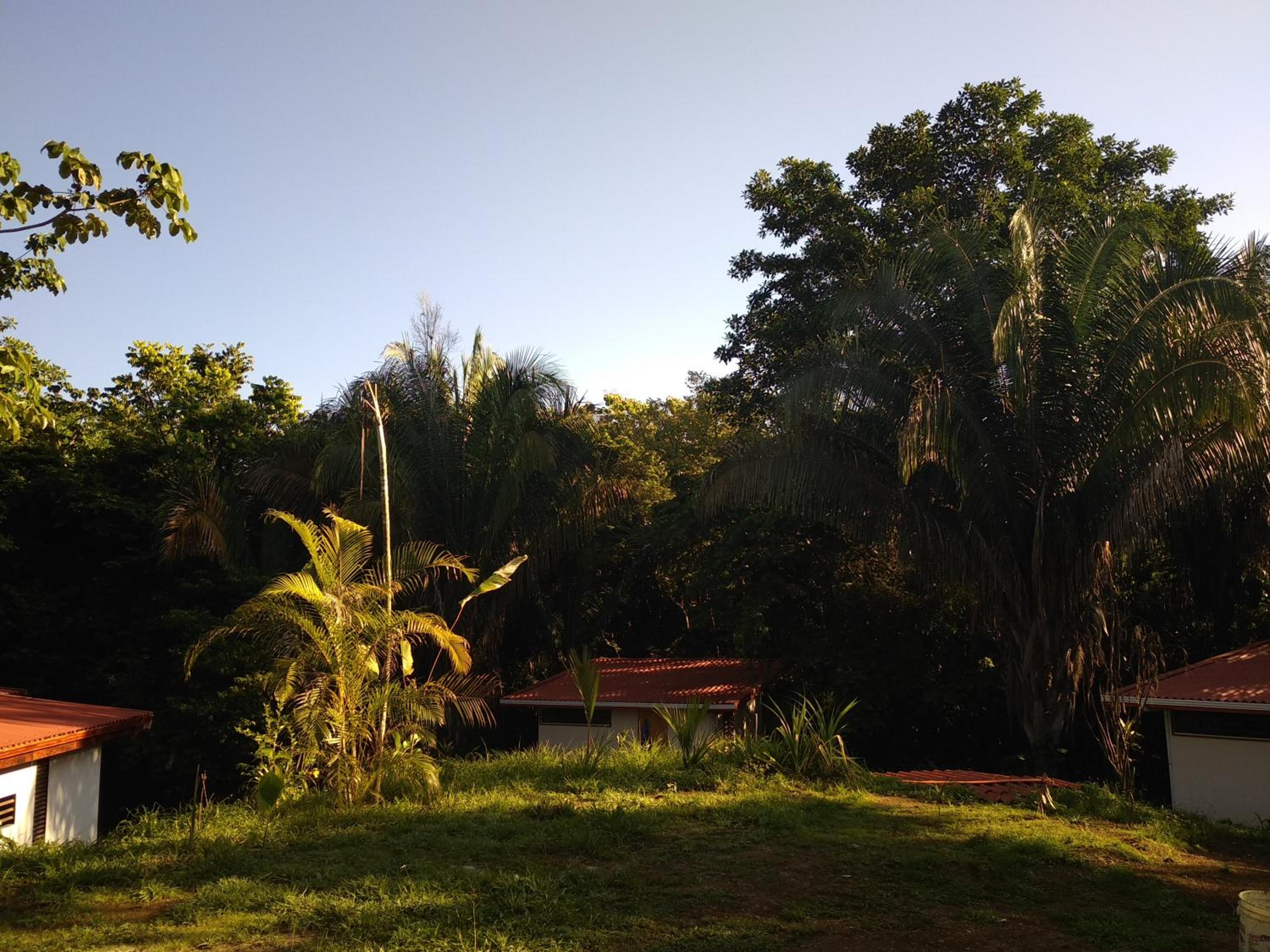 Photo 43
