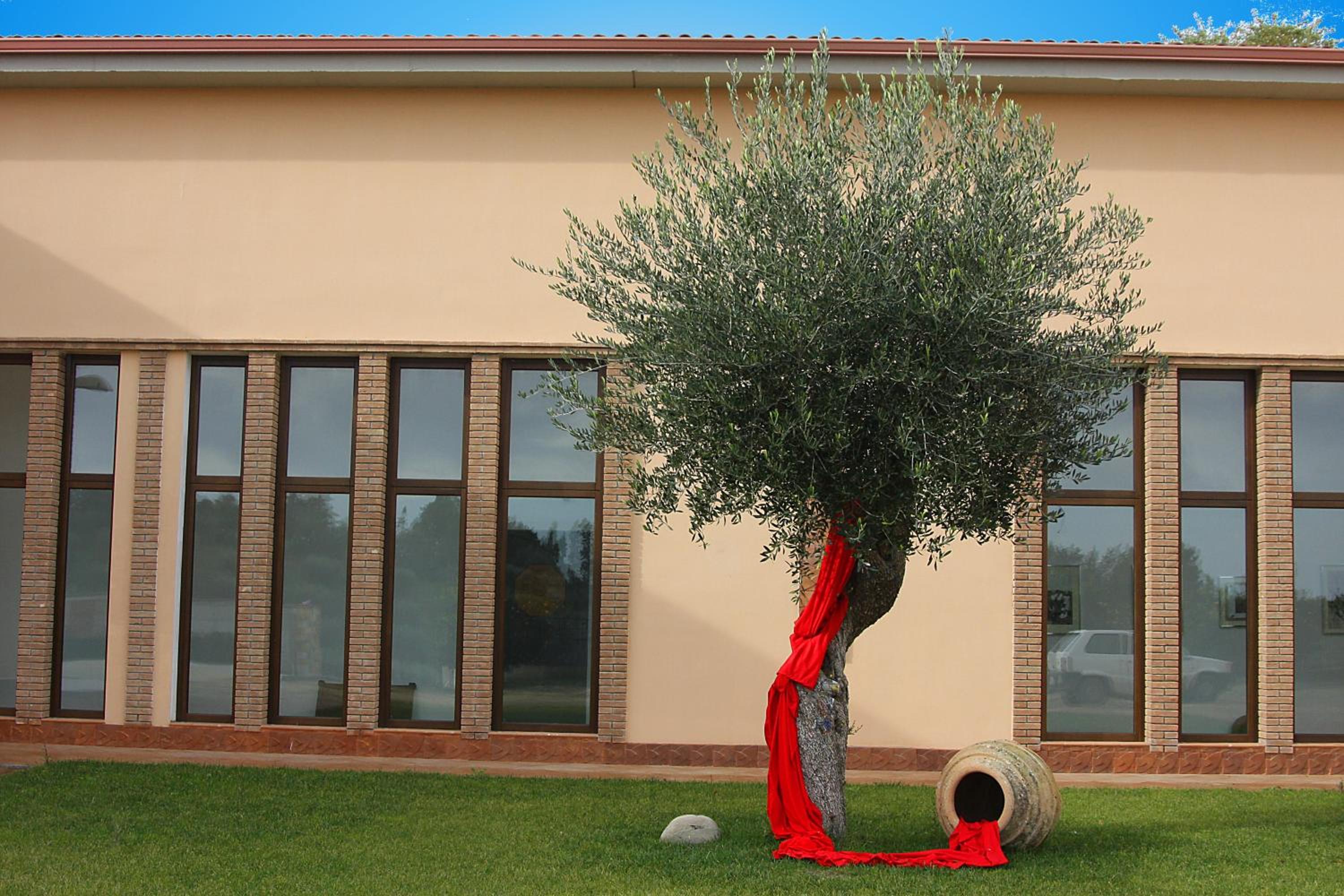 Eco Resort Dei Siriti