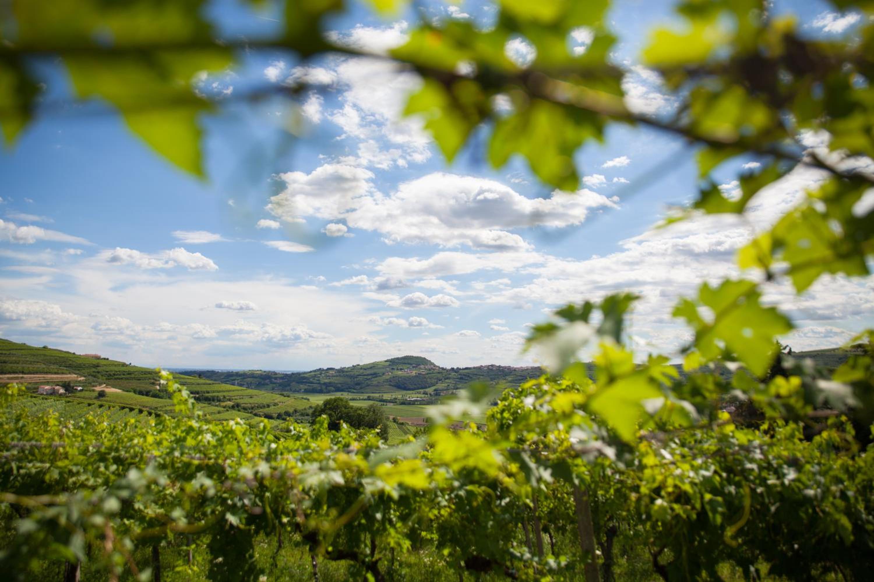 Massimago Wine Relais