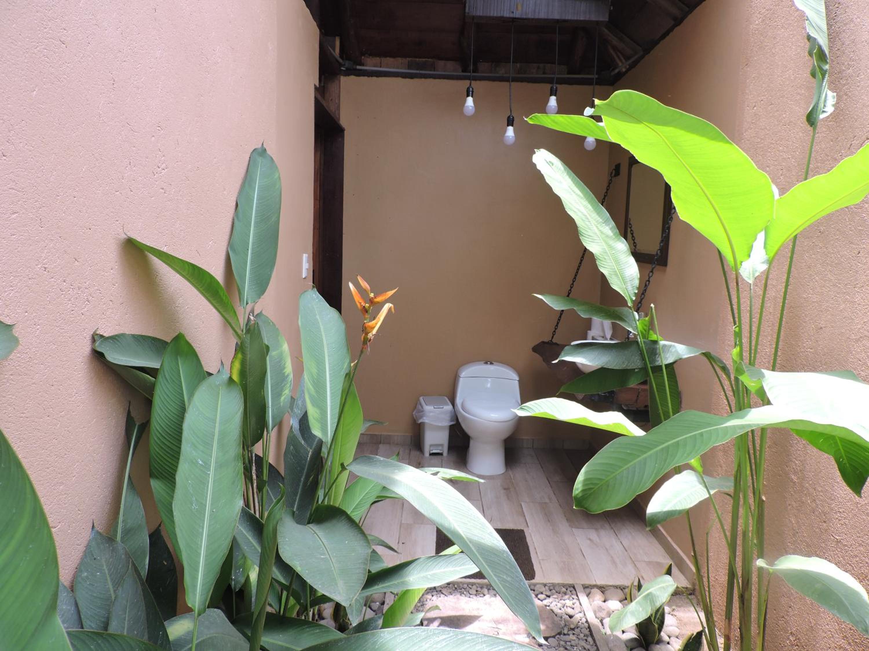 Boca Tapada Lodge view 3