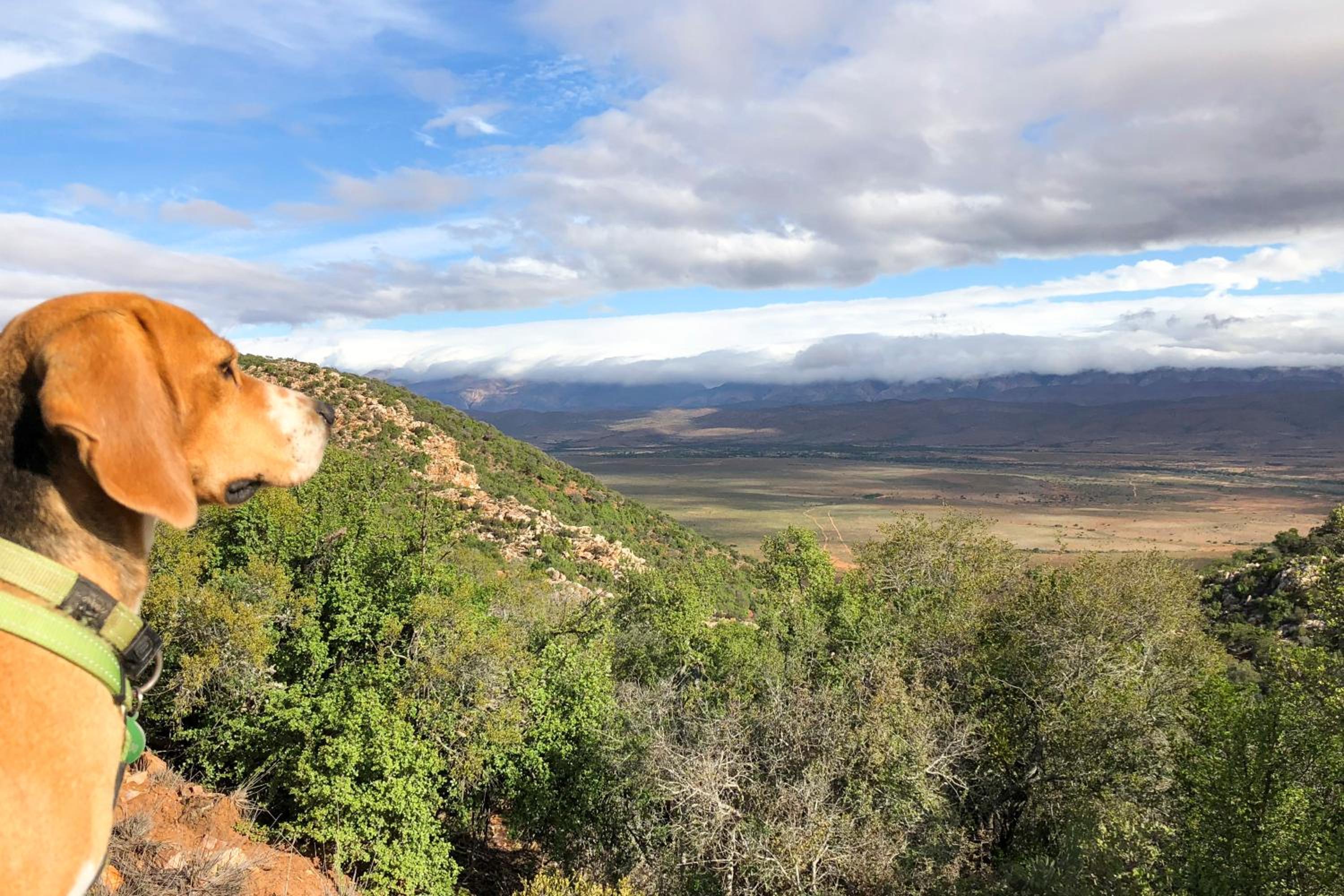 Royal Karoo Safari Lodge