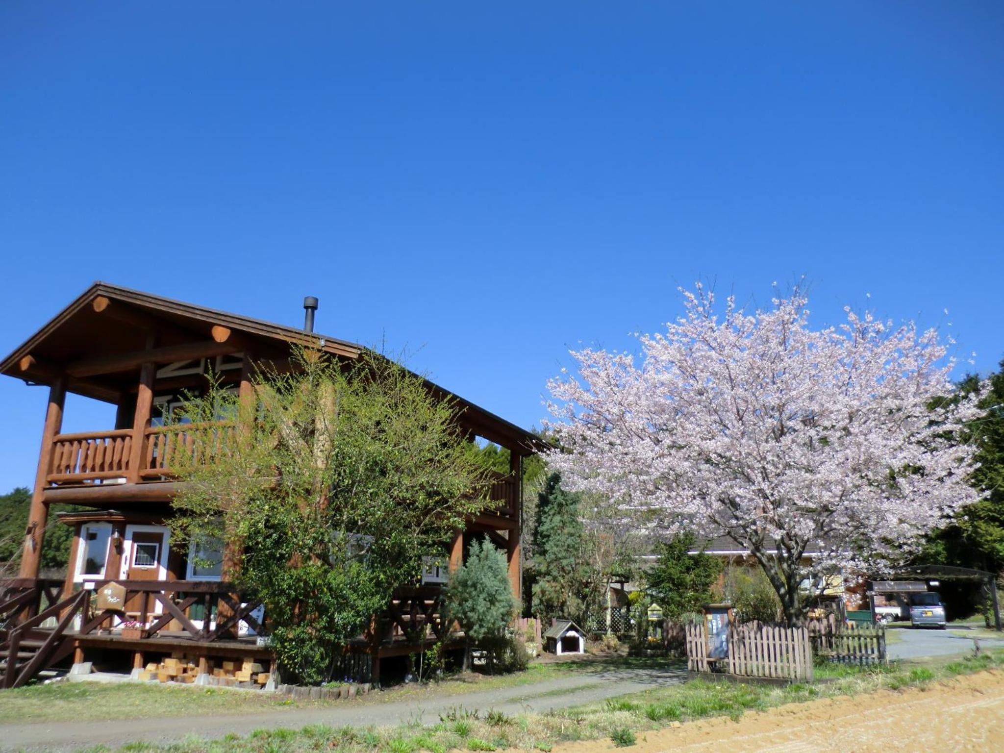Photo 20