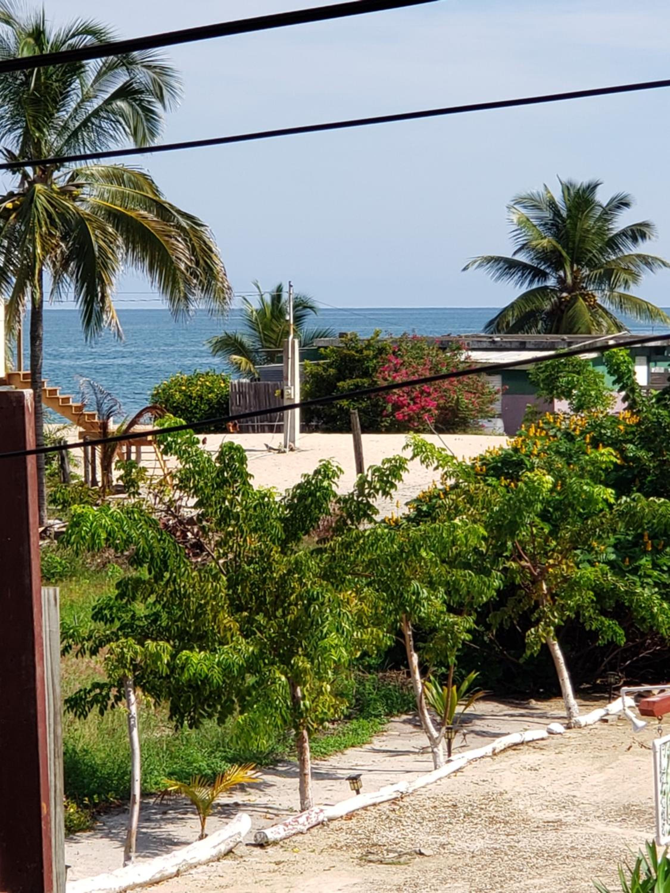 All Seasons Belize