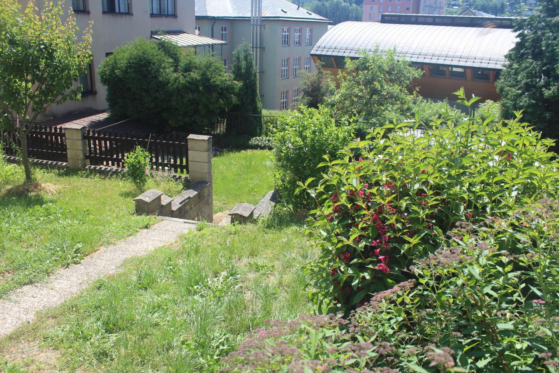 Photo 8