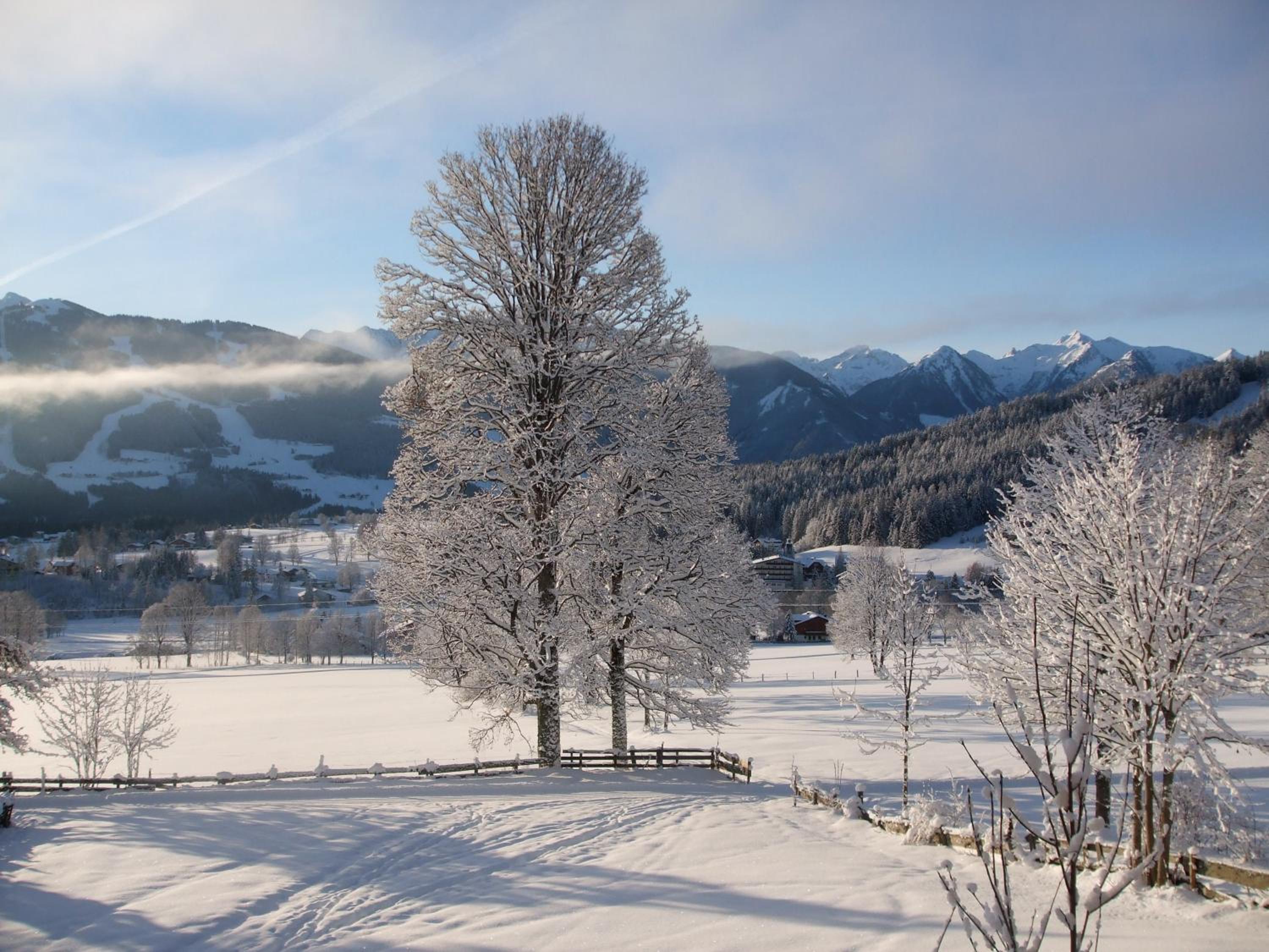 Pension Dachsteinhof