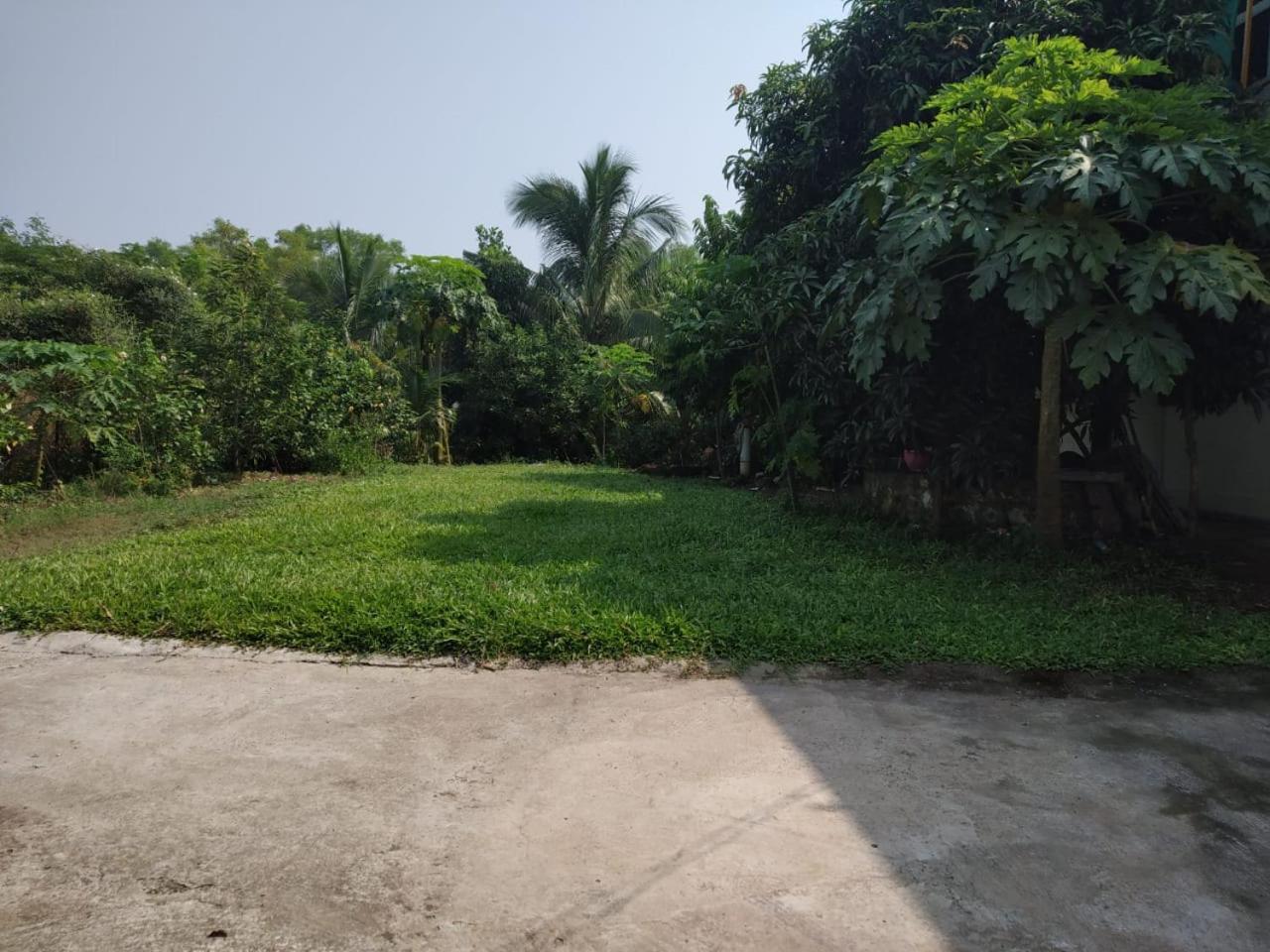 Photo 45