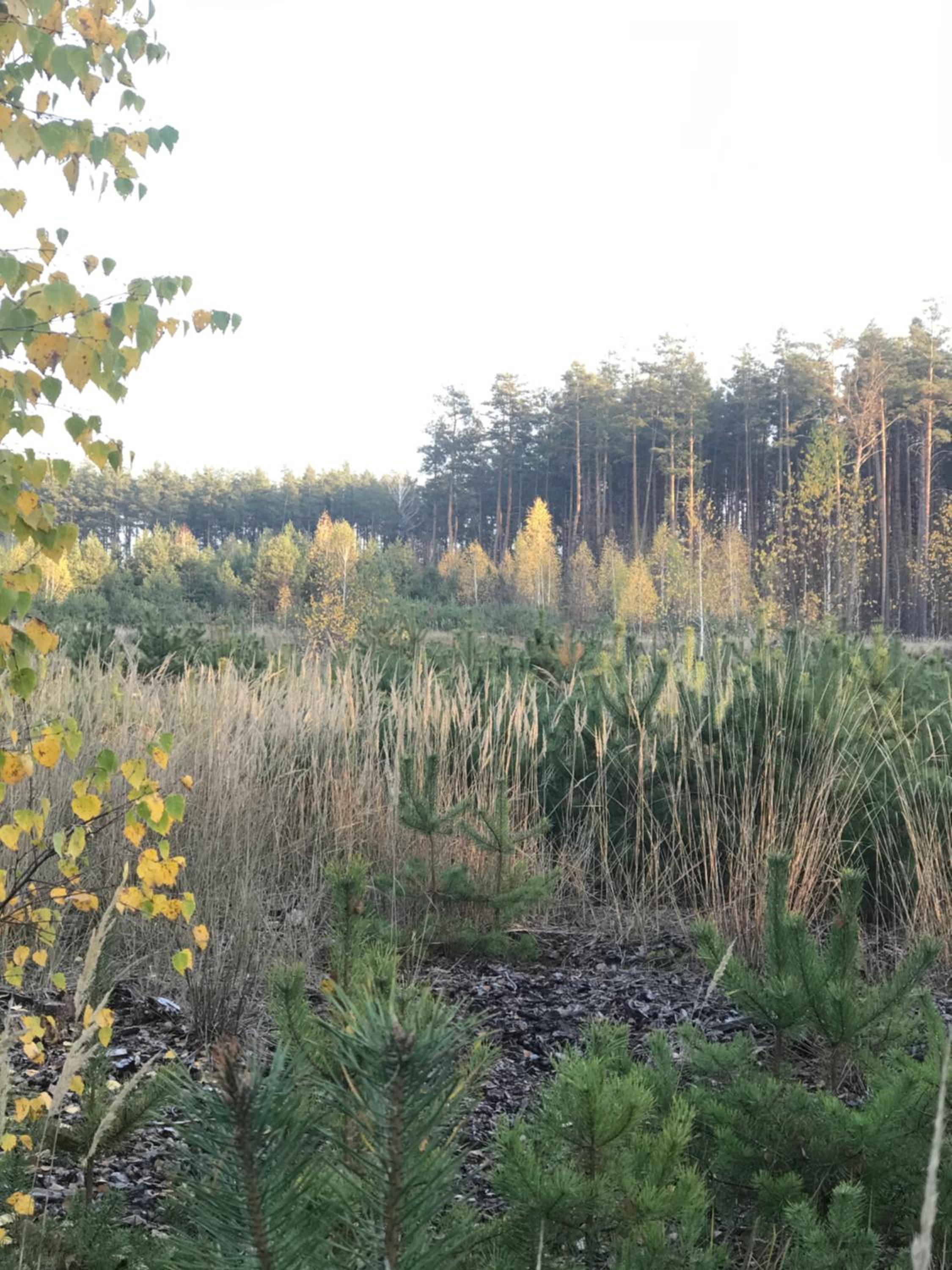 Photo 37