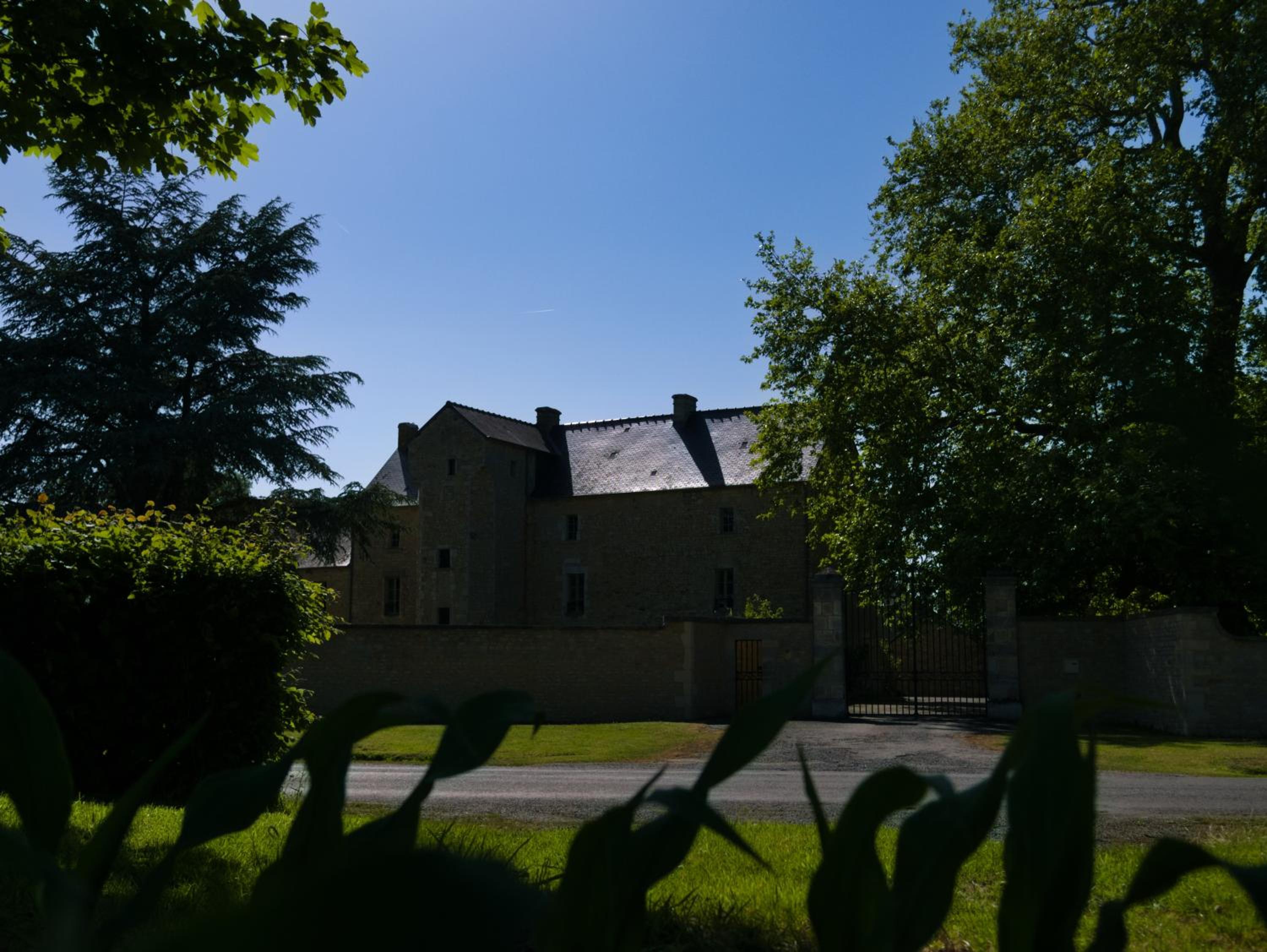 Photo 42