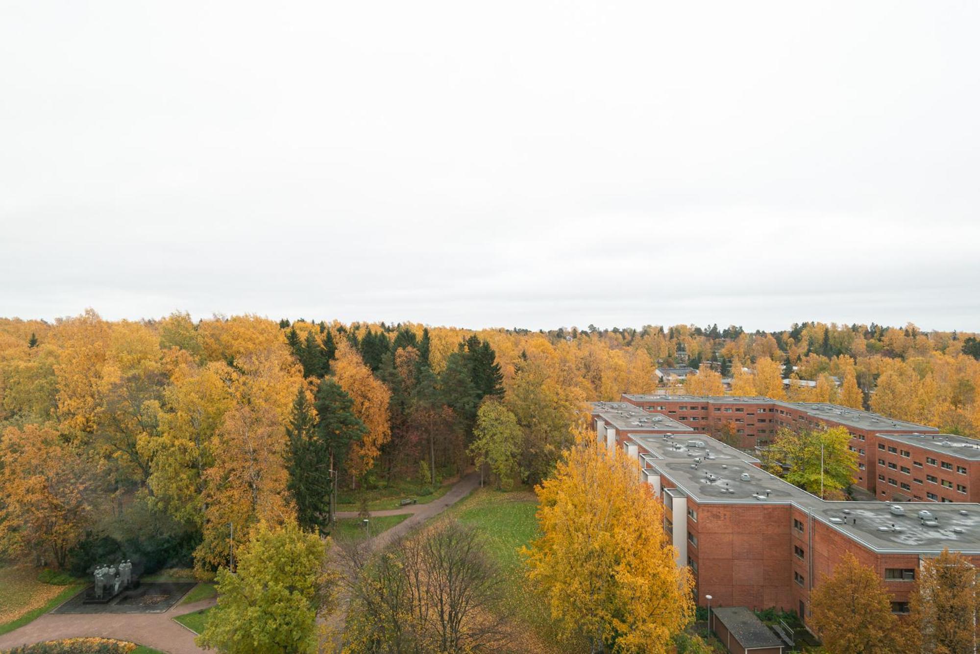 Photo 27