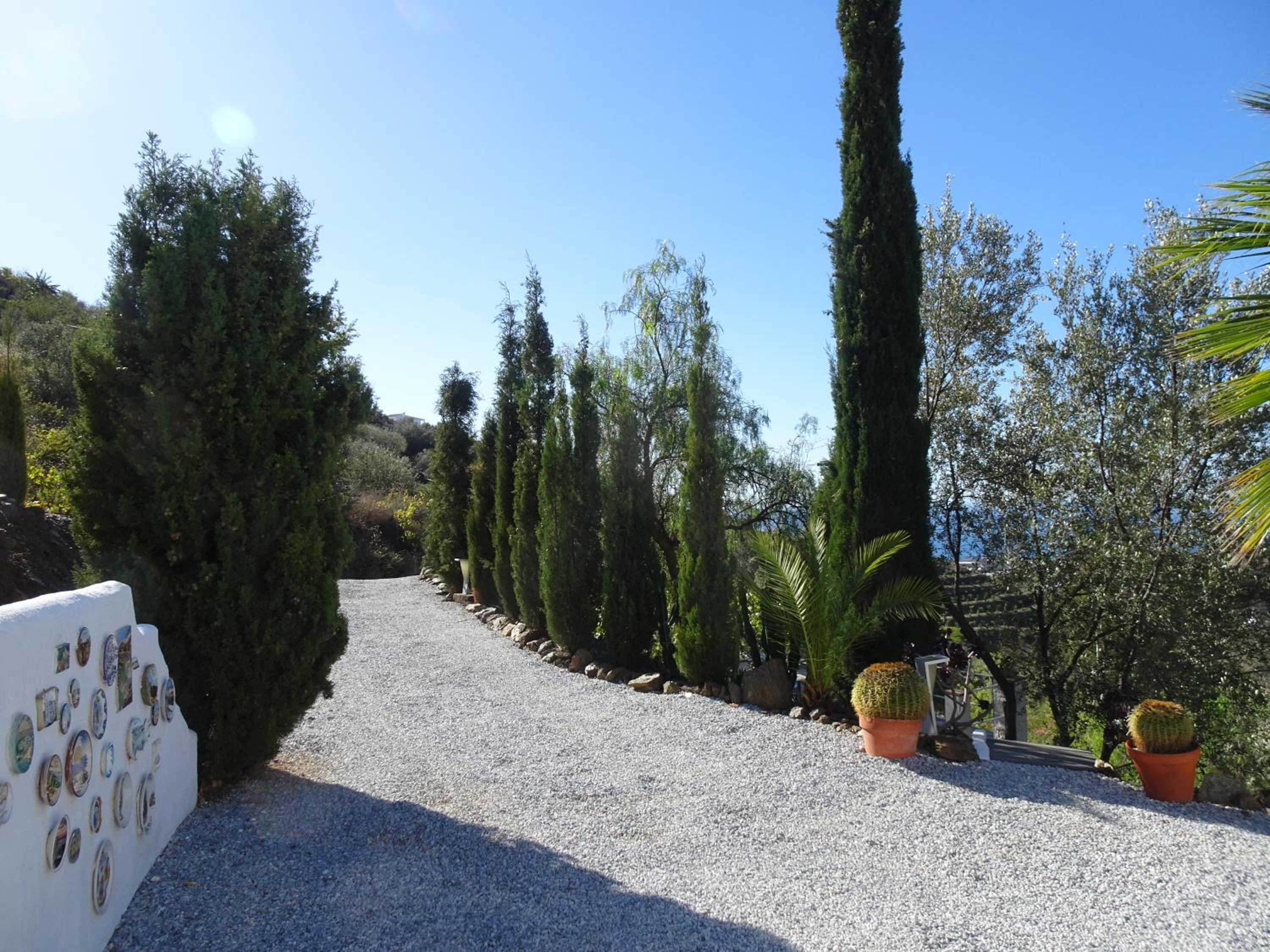 Eduardo view 3