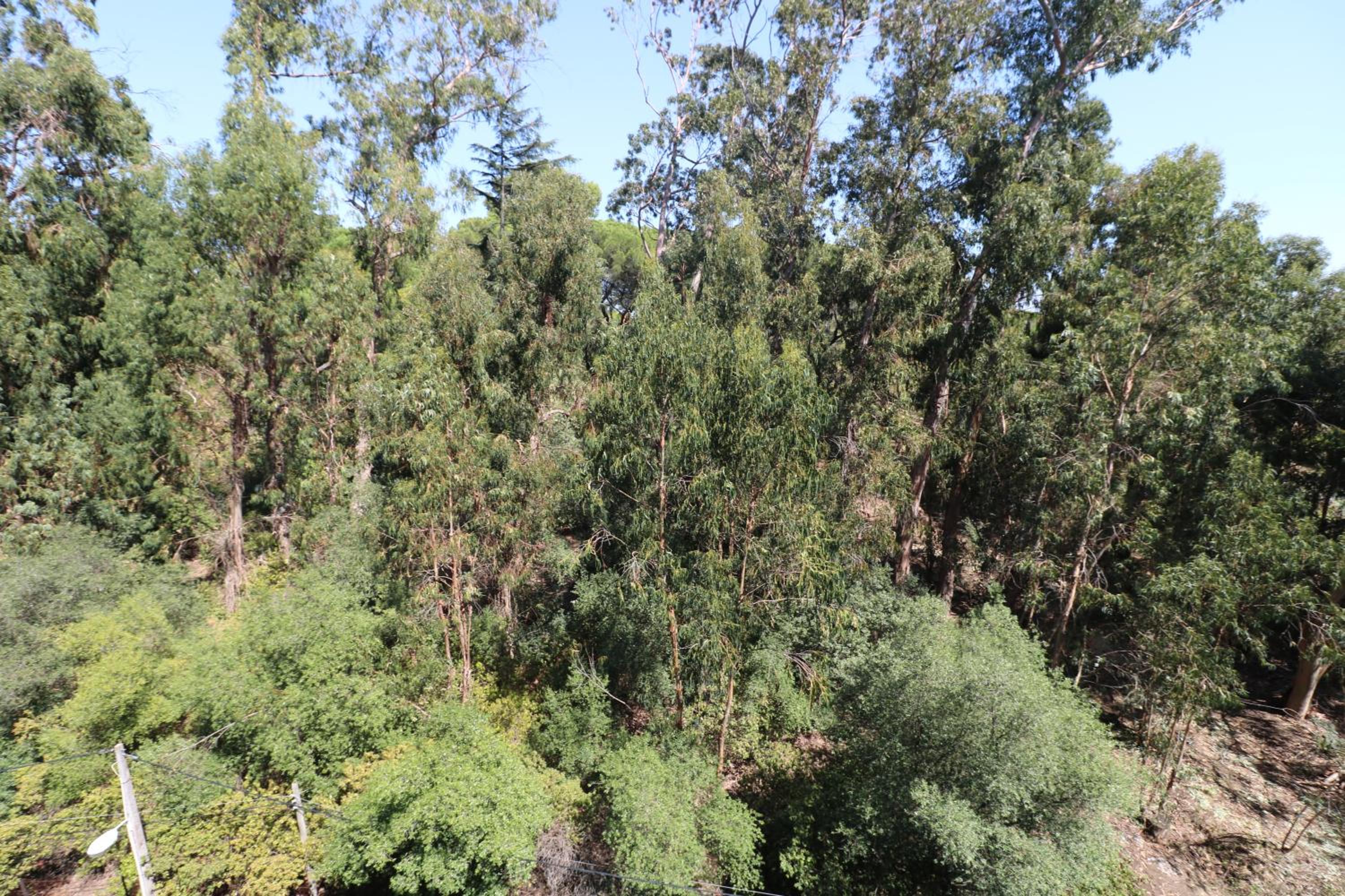 Treetops Lisbon Apartment view 4
