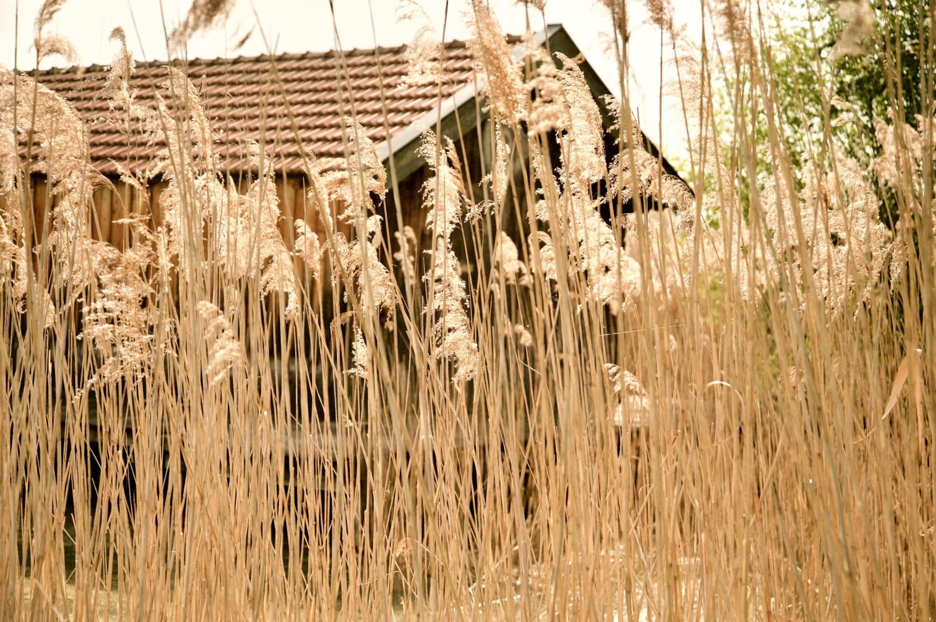 Zuhäusl am Chiemsee Appartements