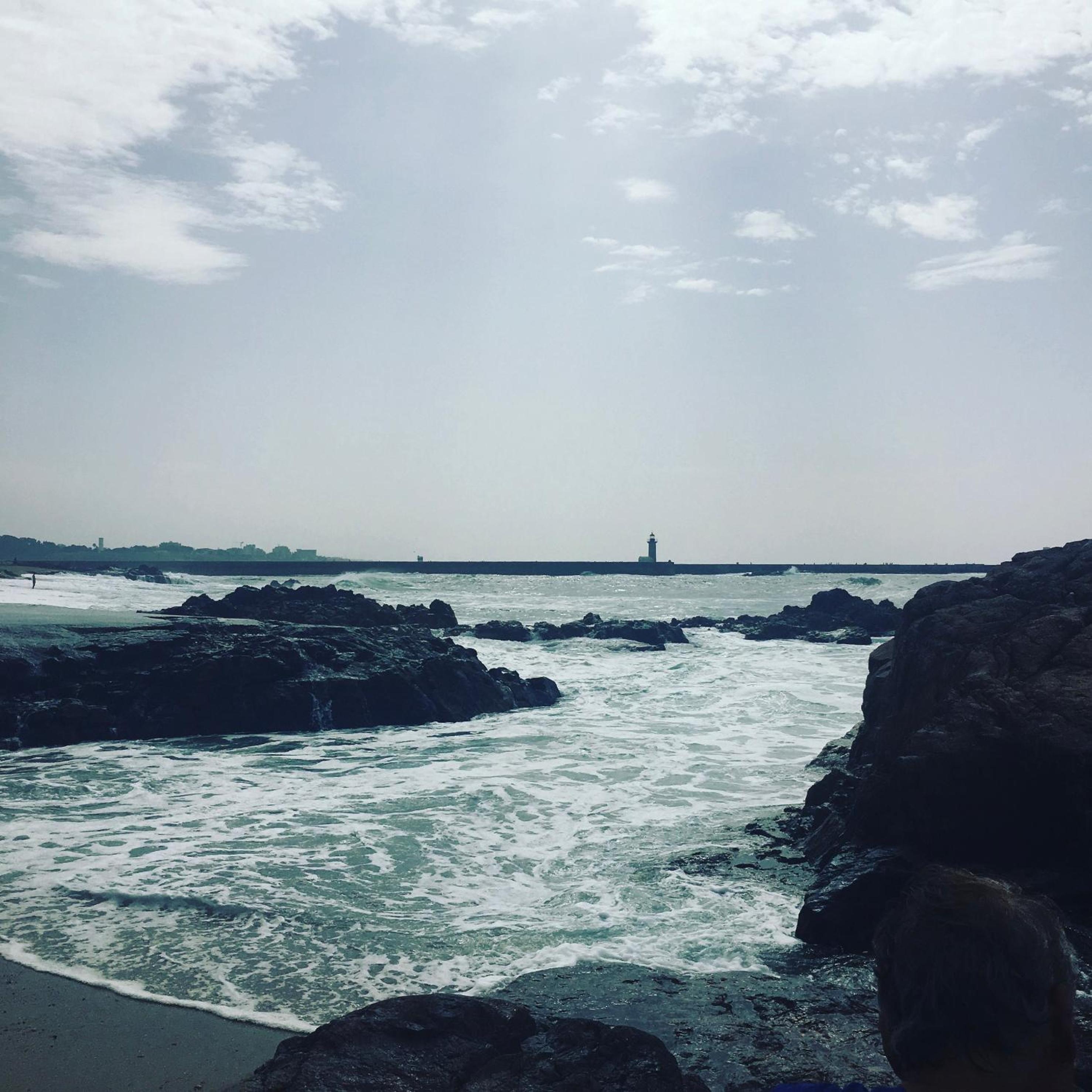Estrelícia view 5