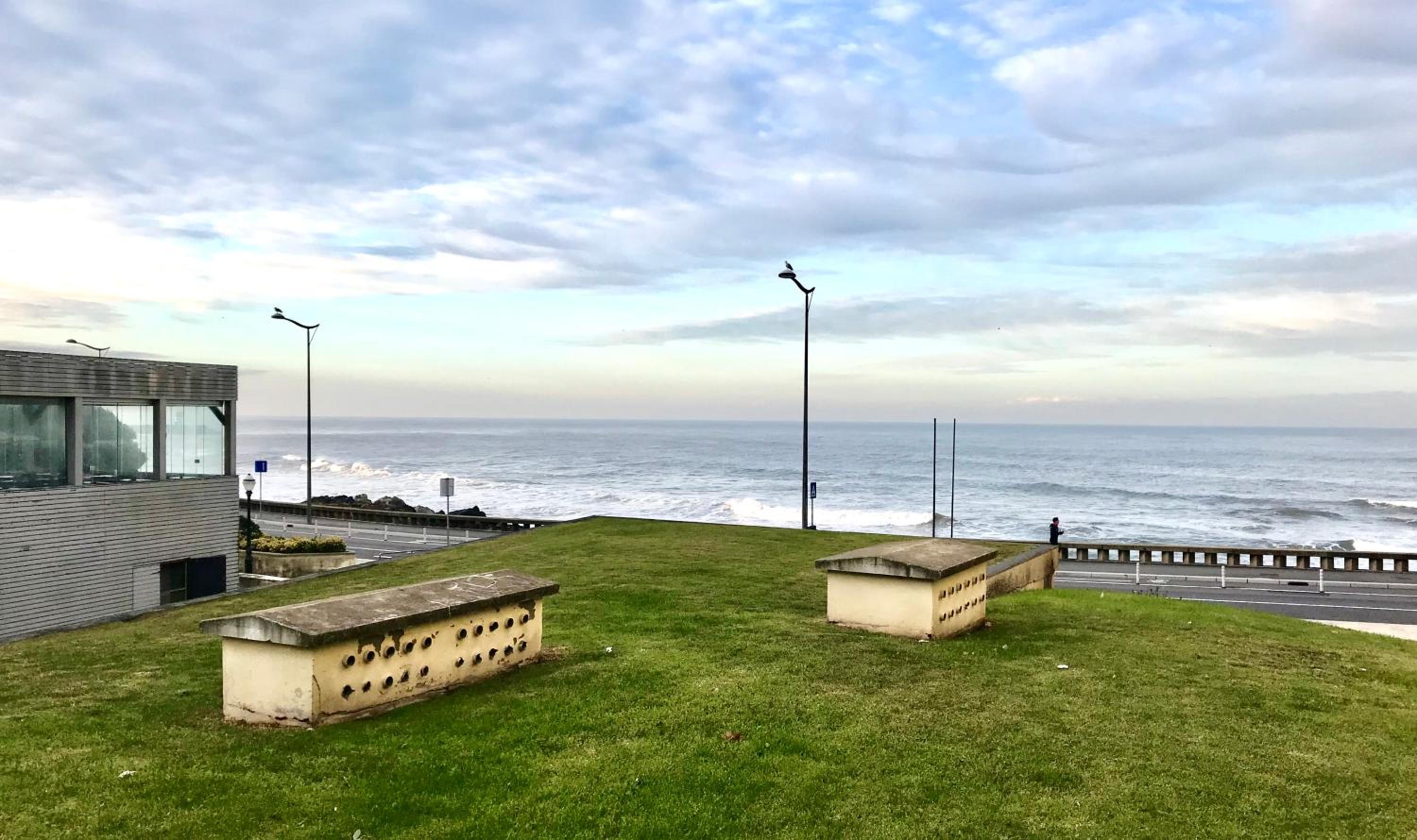 Estrelícia view 2