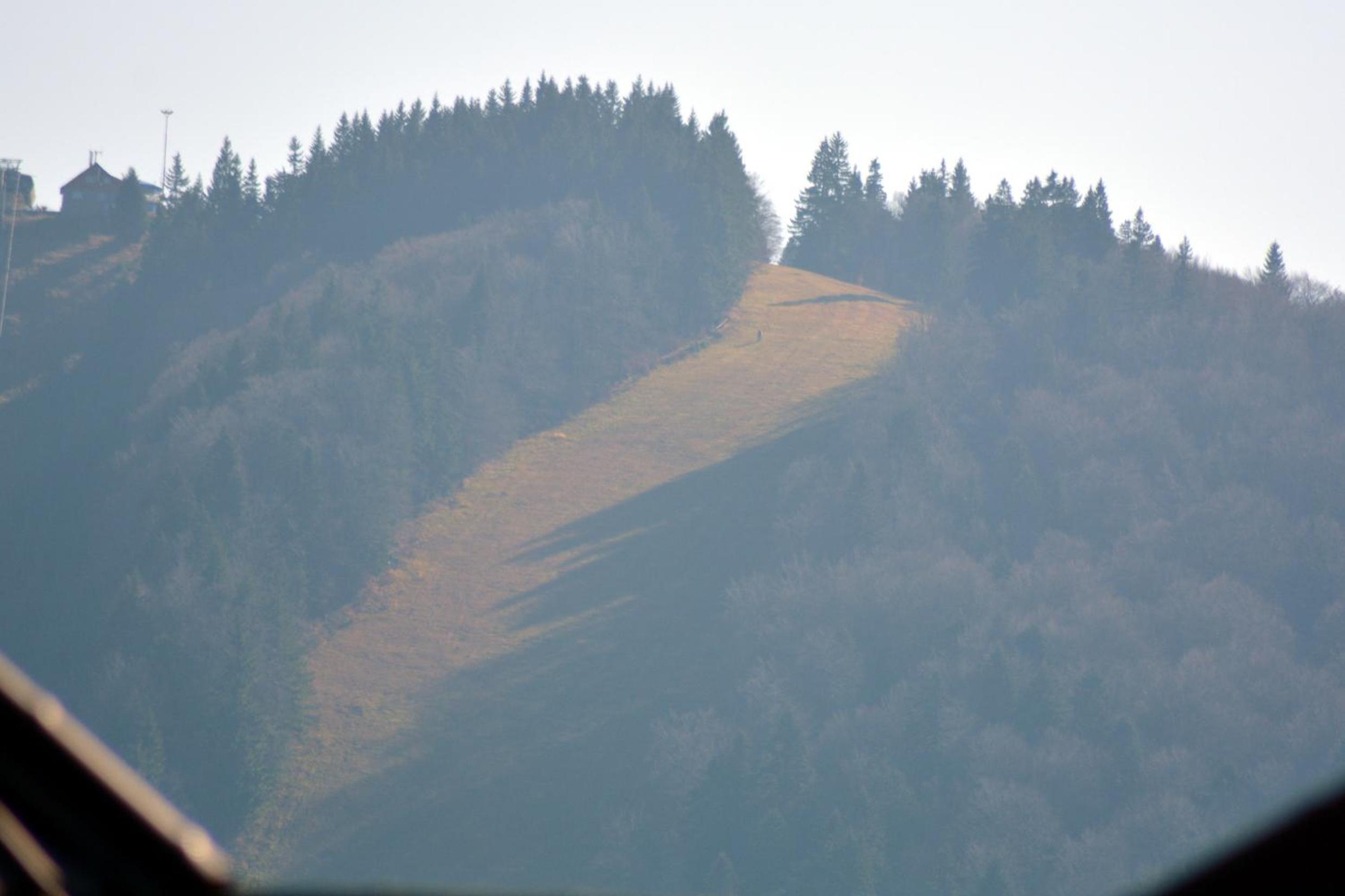 Photo 45