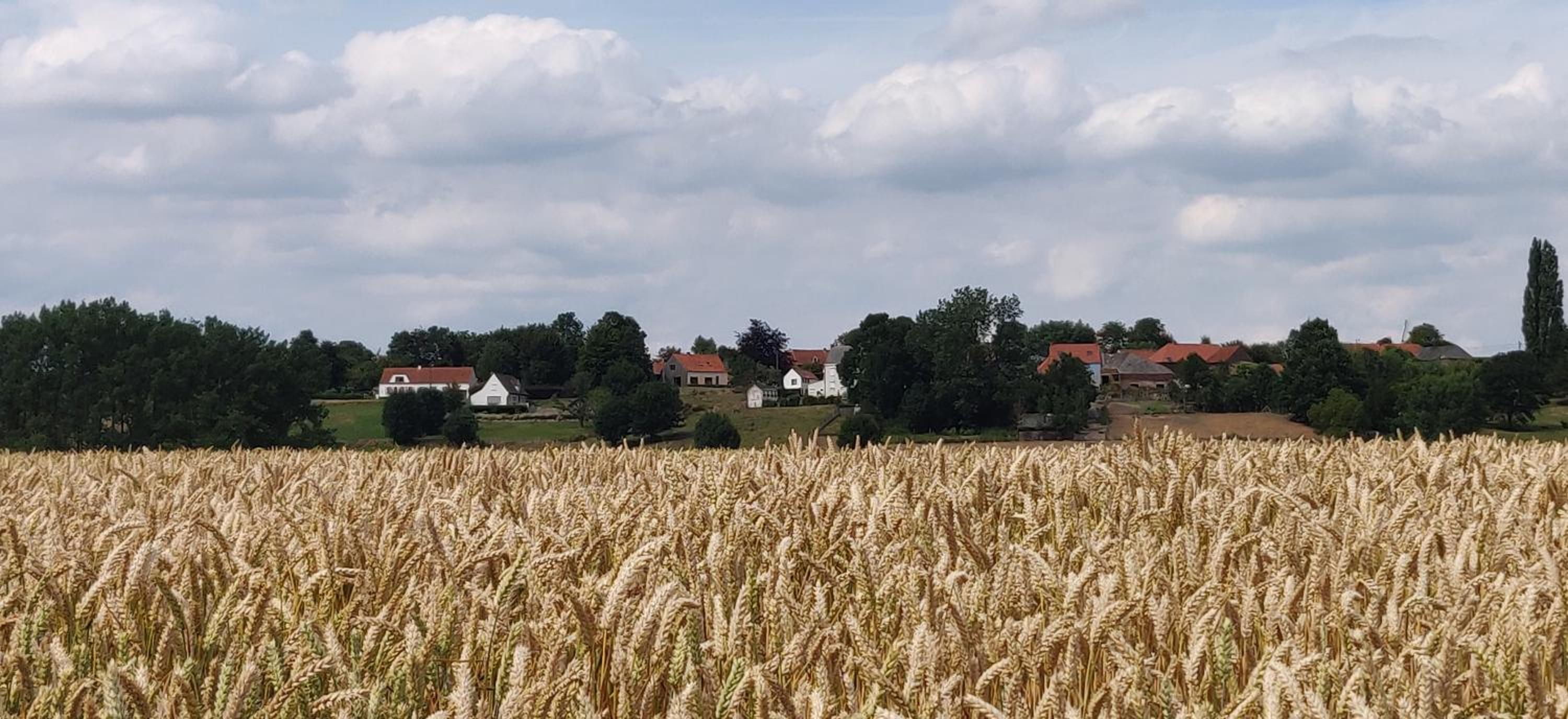 De Bossenaarshoeve
