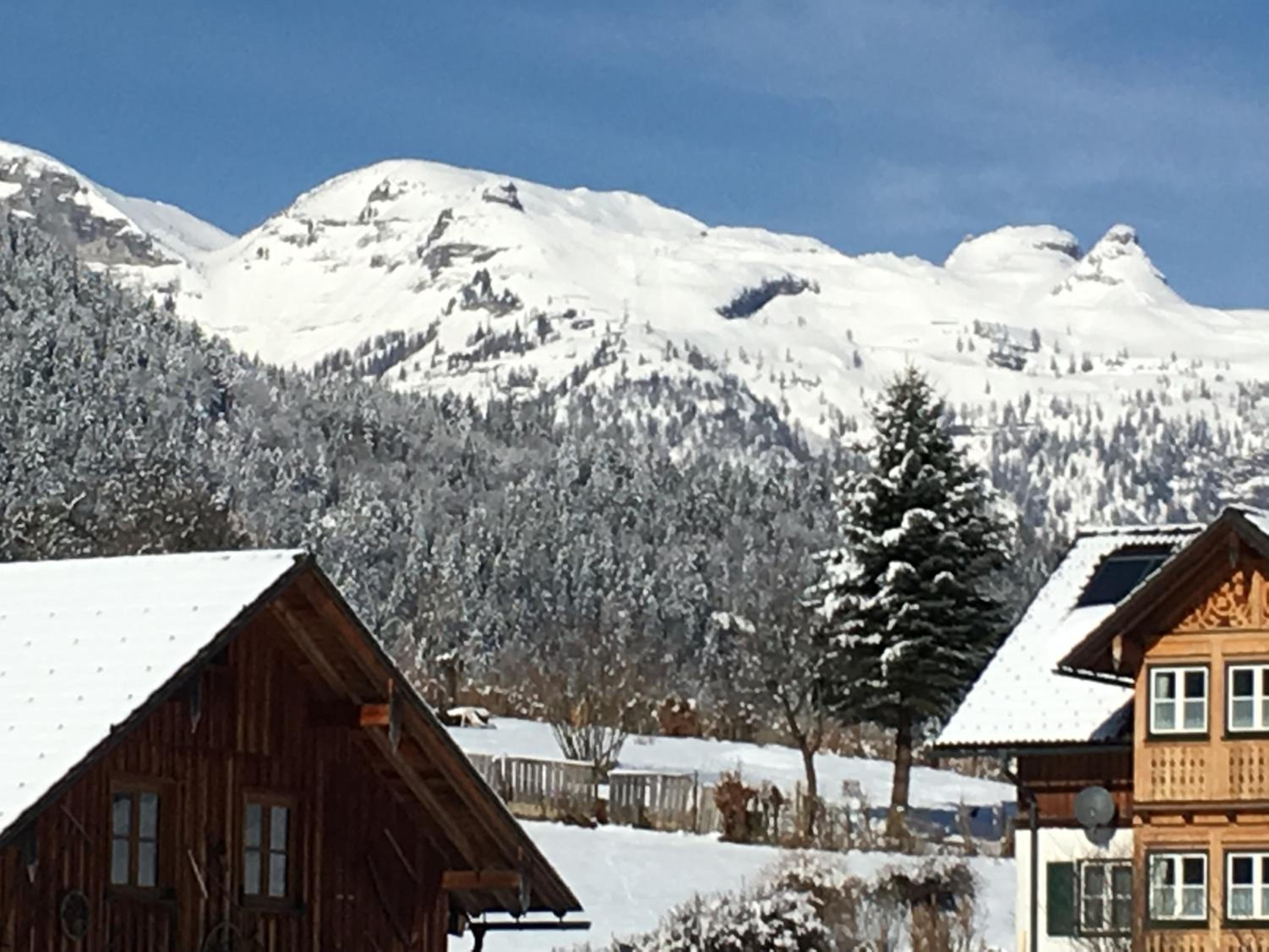 Ausseer Chalet (nahe Hallstatt), Appartements