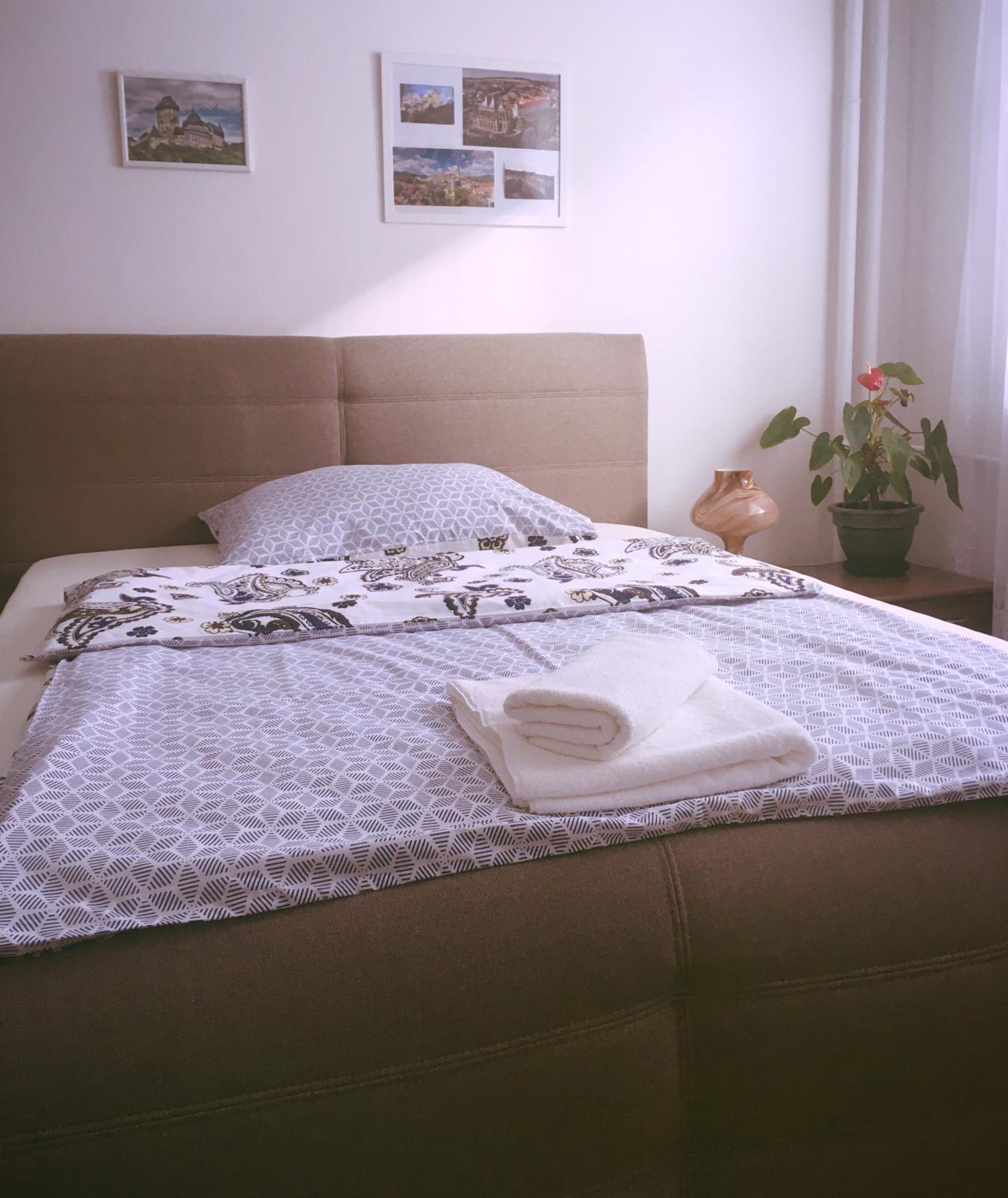 Apartment Anna Vysehrad