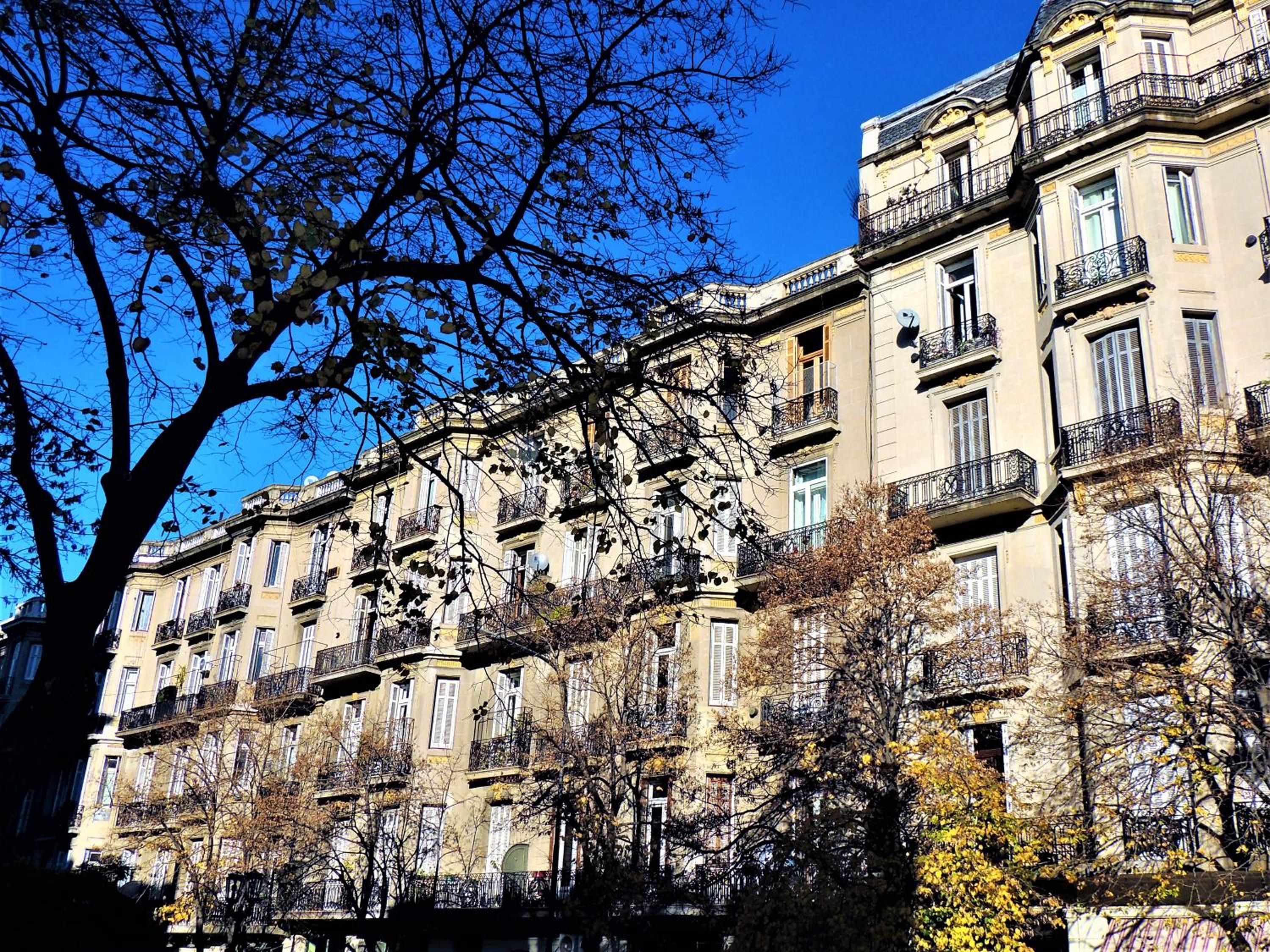 Stylish duplex in Caseros Boulevard - San Telmo