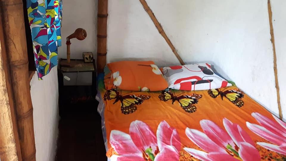 Casa con vista al cañón y cascadas propias