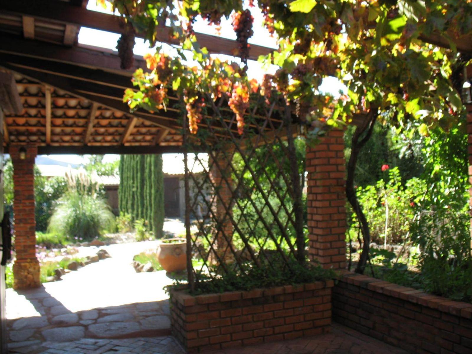 Quinta Maria en la Ruta del Vino view 3