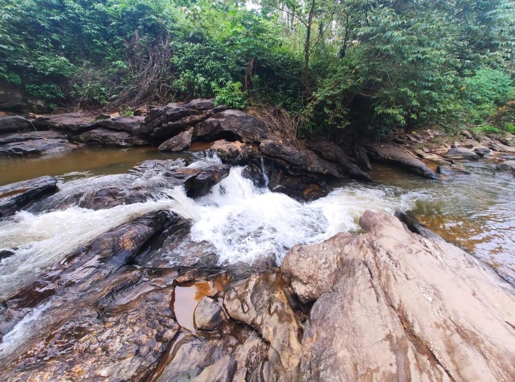 Agua