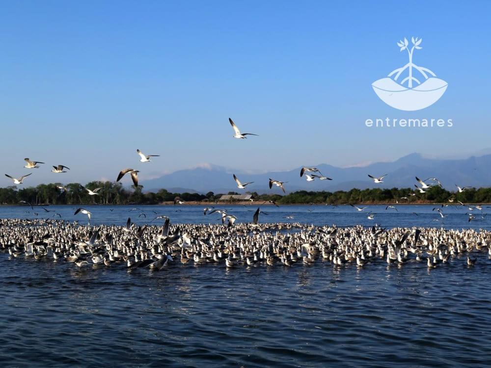 Entremares