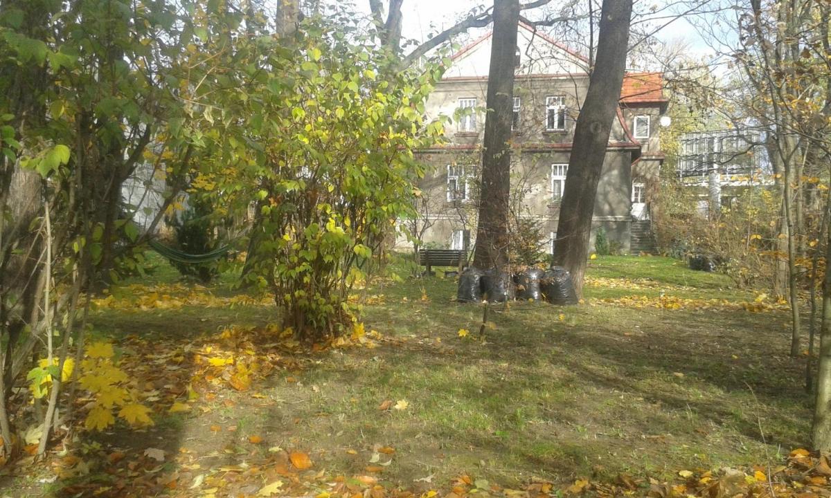 Photo 35