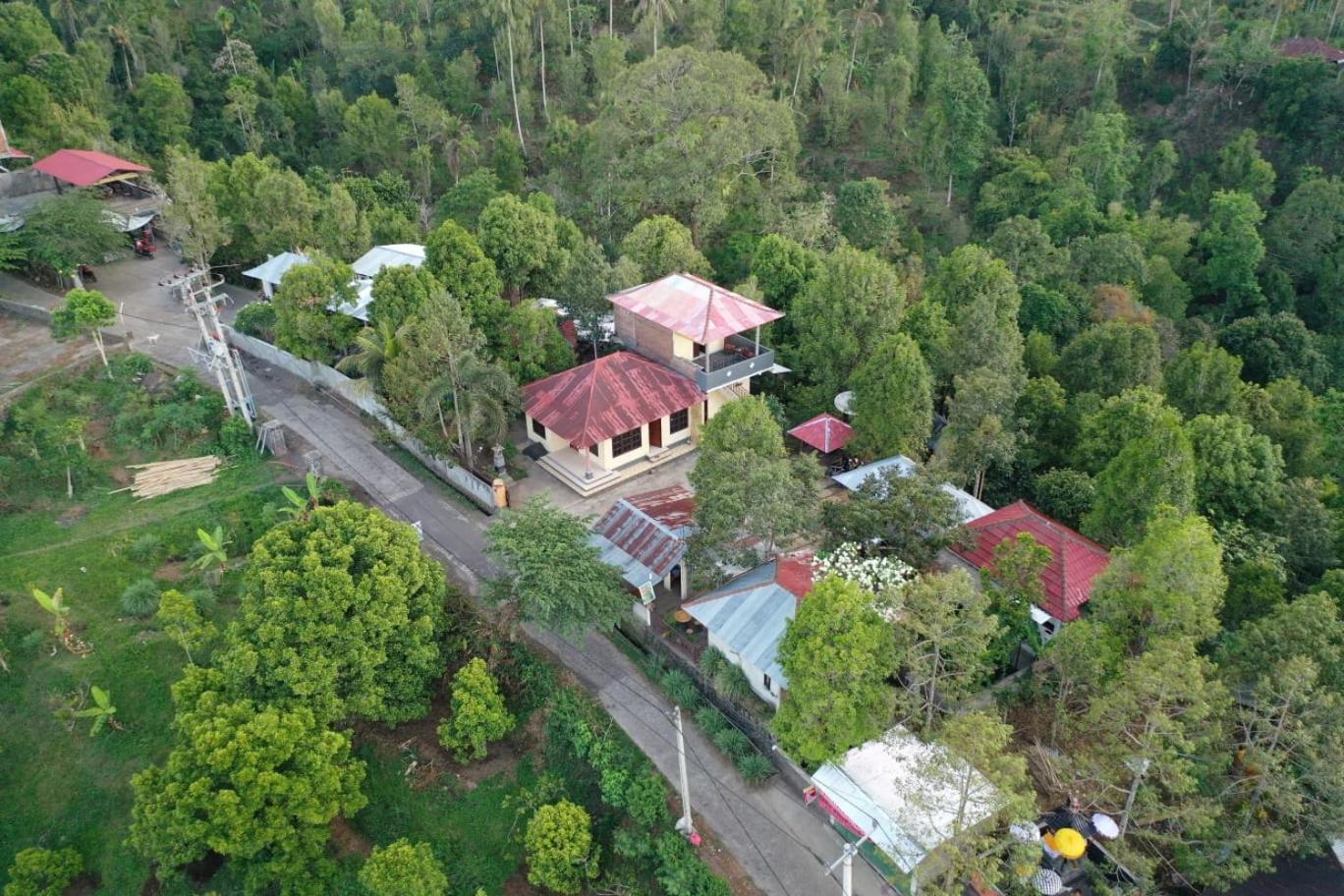 Photo 45