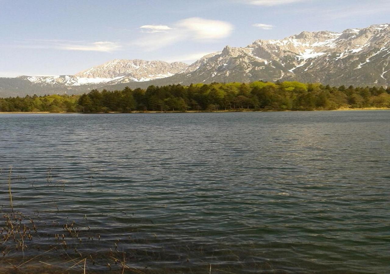 Photo 17