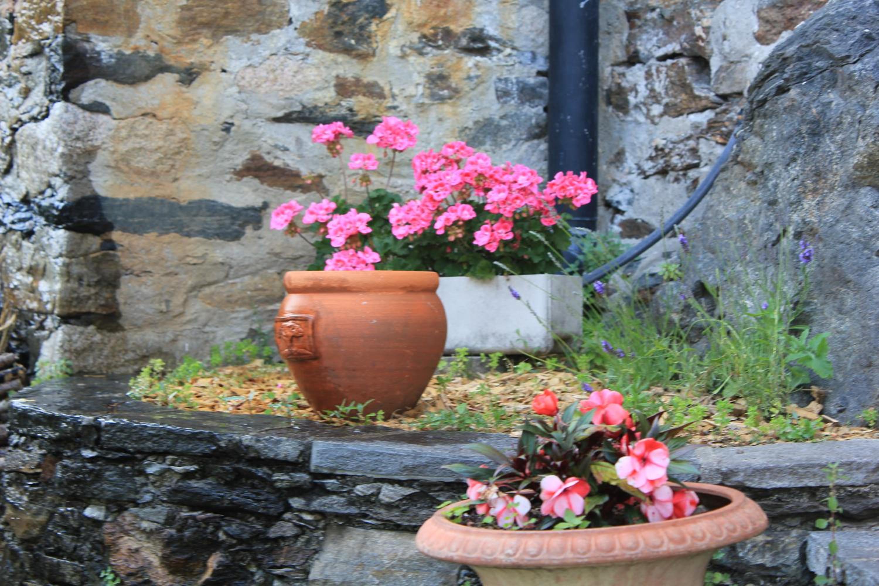 Casa San Martino