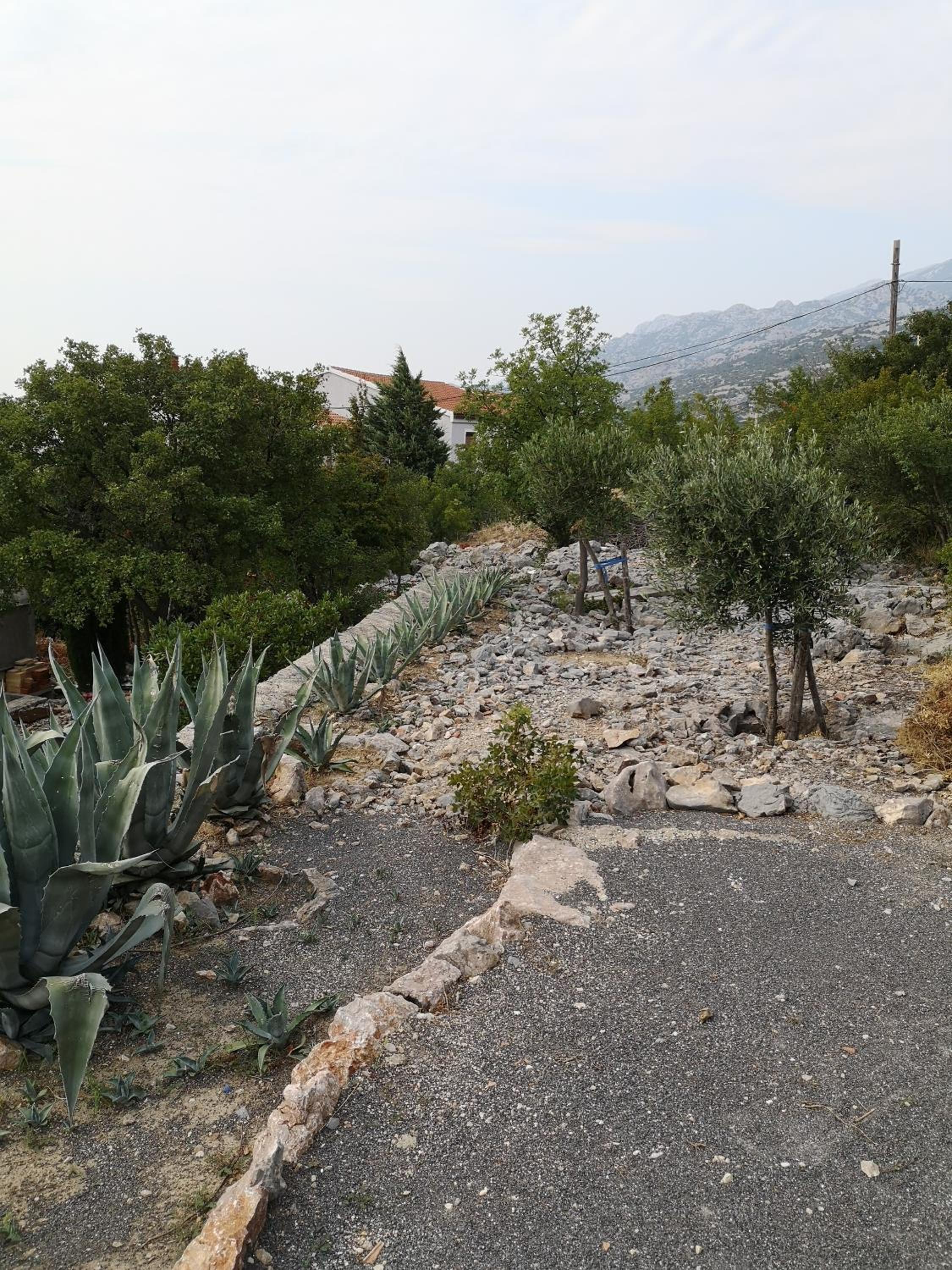 Photo 40